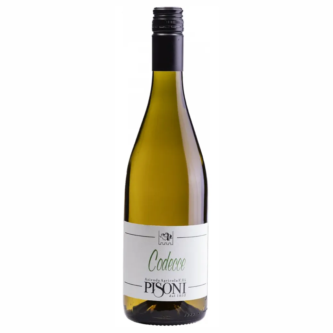 Pisoni - Codecce 2025