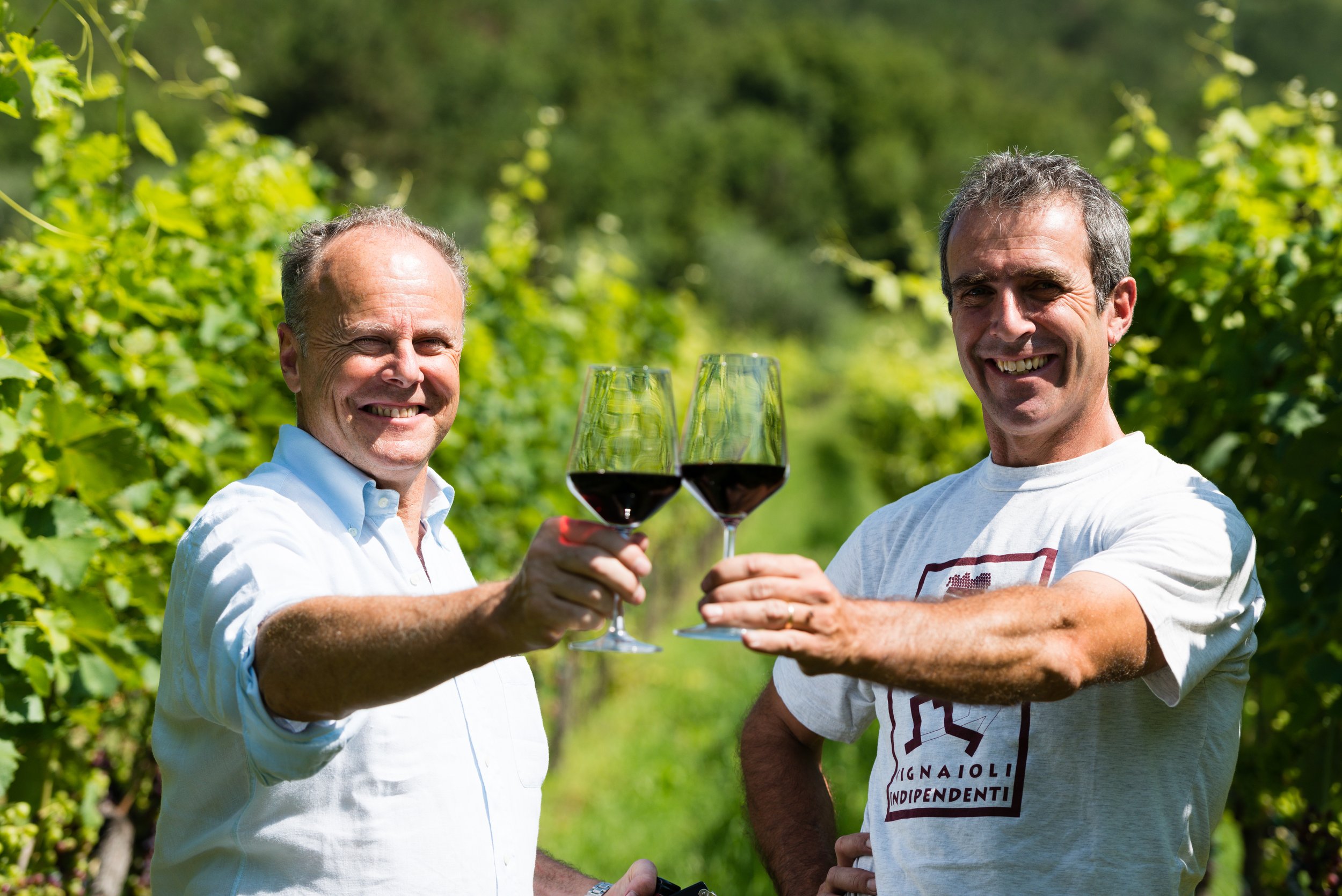 From War to Wine: The Pisoni Family’s unbreakable legacy and biodynamic vision