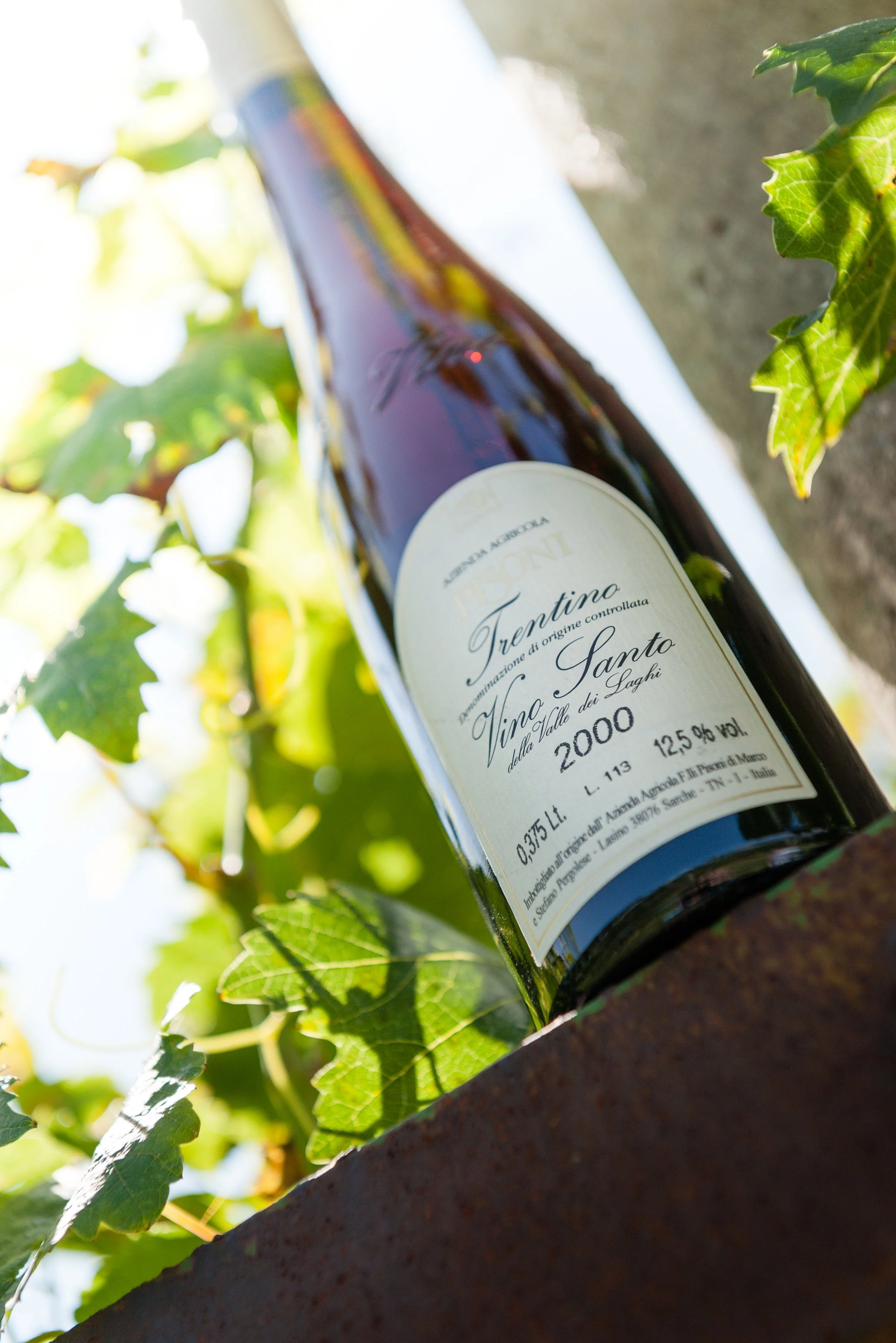 Cantina Pisoni-1169.jpg