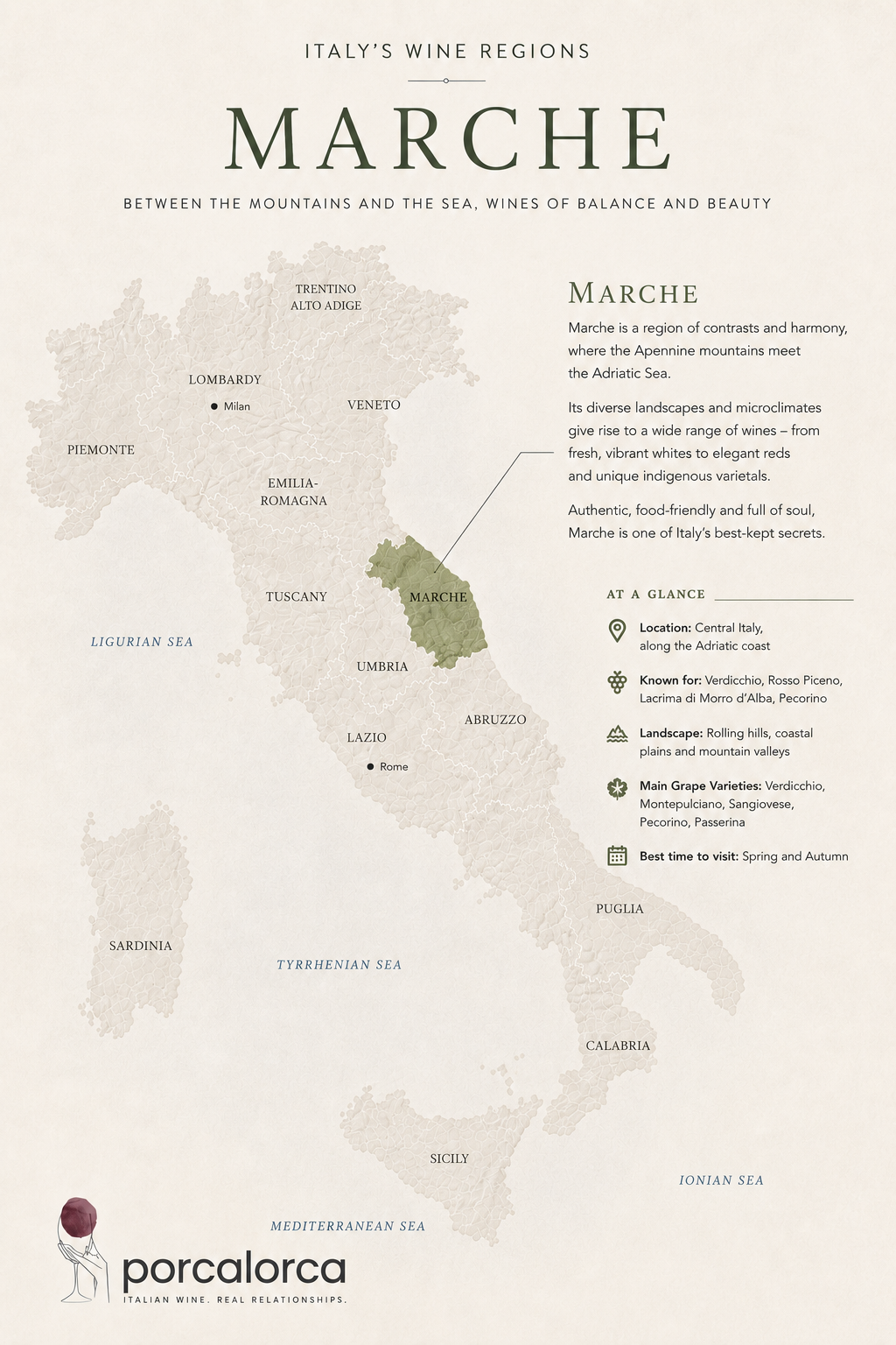 Map of Italy highlighting the Marche region in green, with surrounding regions labeled. Text about Italy's wine regions, characteristics of Marche wine, and key facts including its location, known types, landscape, main grape varieties, and best visiting times. Bottom left includes a logo for Porcalorca Italian wine company.