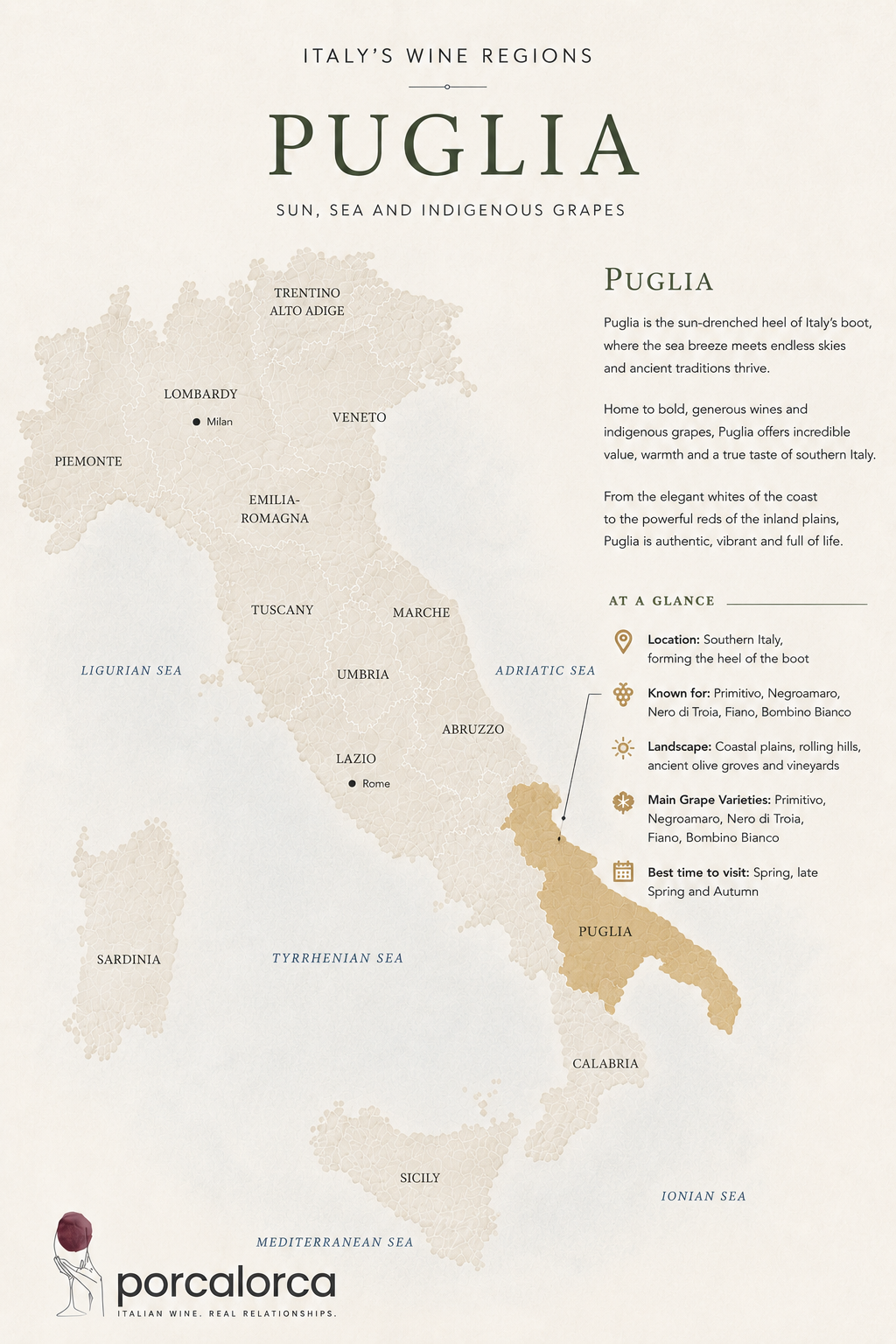 Map of Italy highlighting Puglia in the southeastern region, with information about Italian wine regions, climate, main grape varieties, and best visit times, along with a small logo of Porcalorca wine company at the bottom.