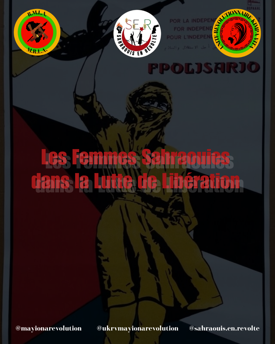 Les Femmes Sahraouies dans la Lutte de Libération