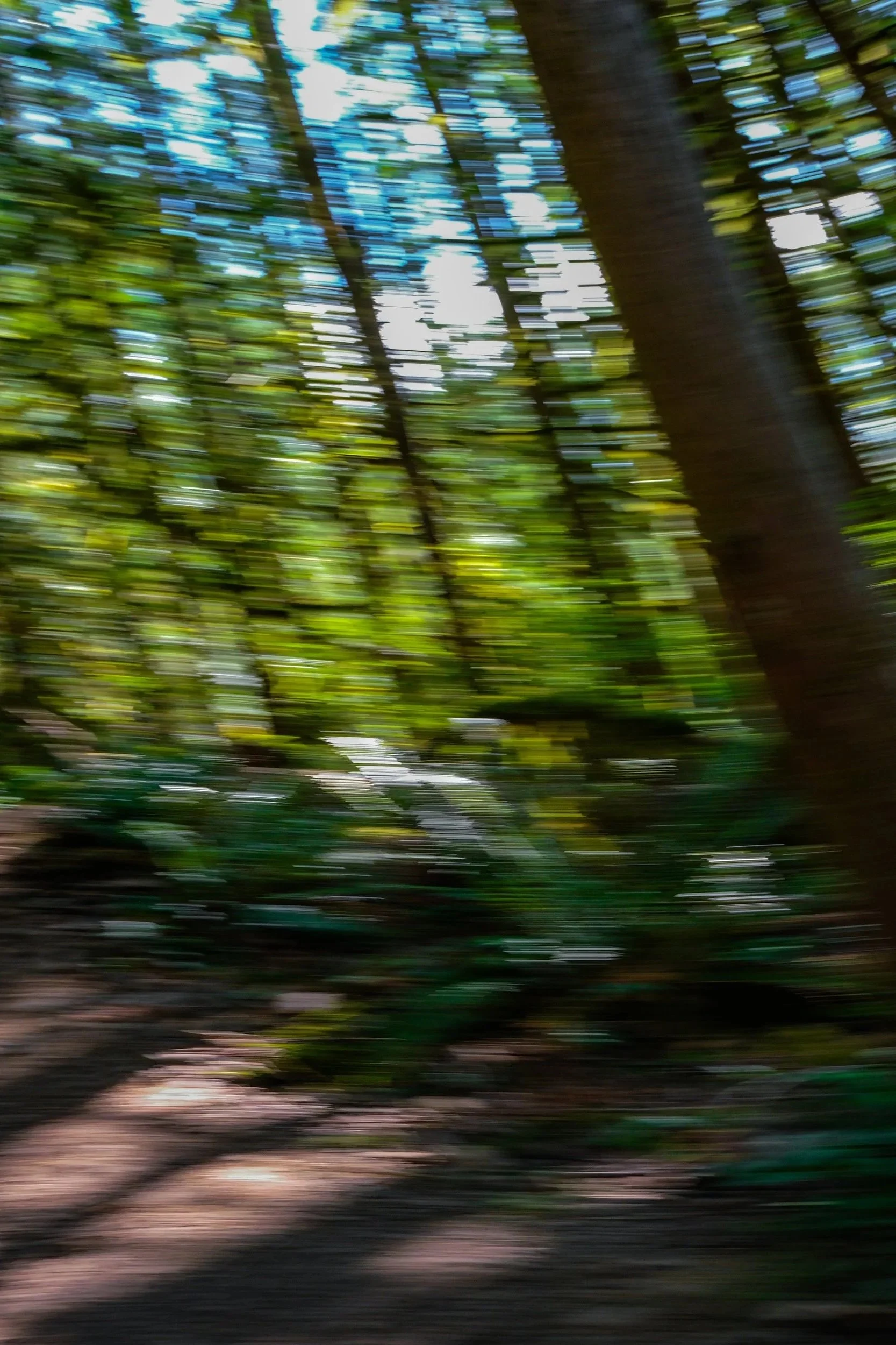 I tripped ... Wallace Falls - Goldbar, WA
