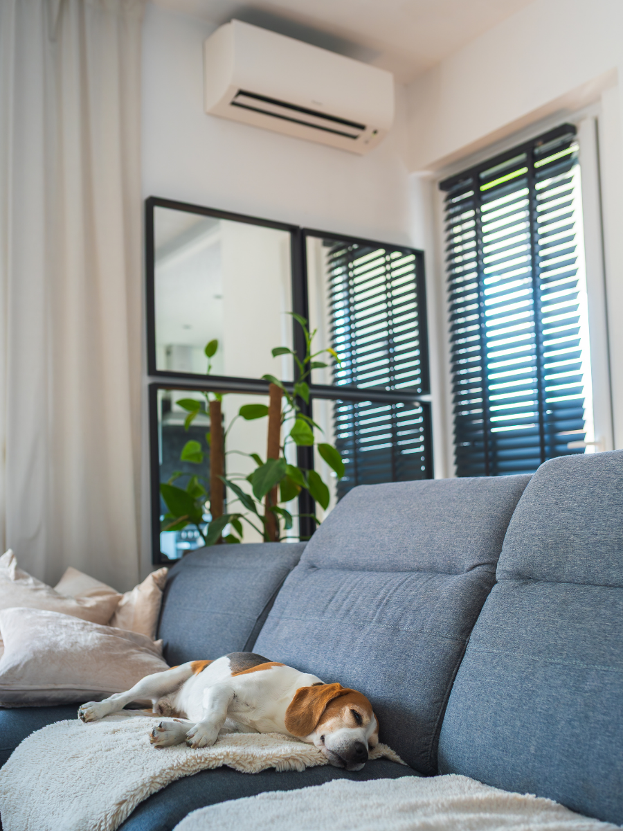 Wall-mounted ductless mini-split providing comfort in a living room