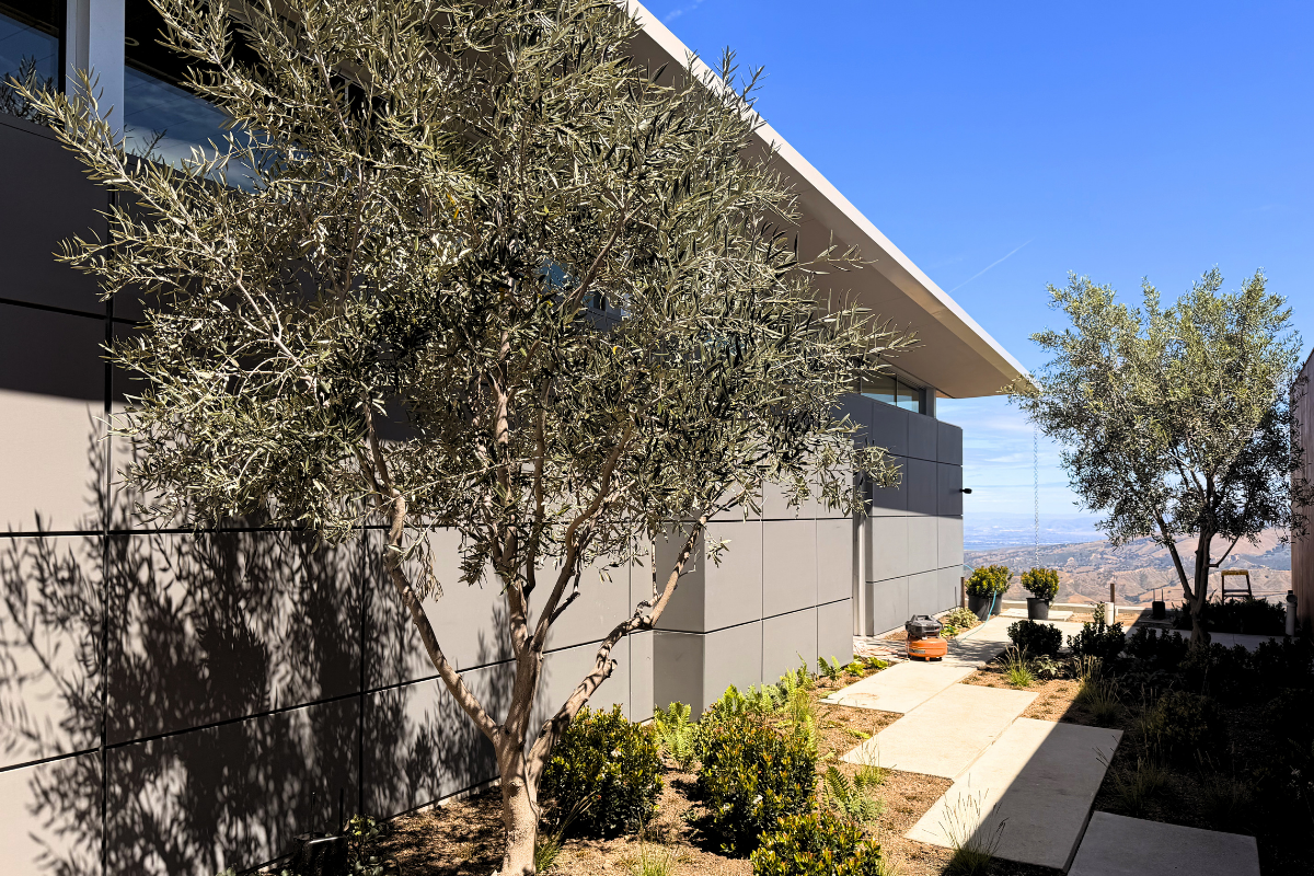 Modern residential exterior improvement project with landscaping in Carmel Valley California