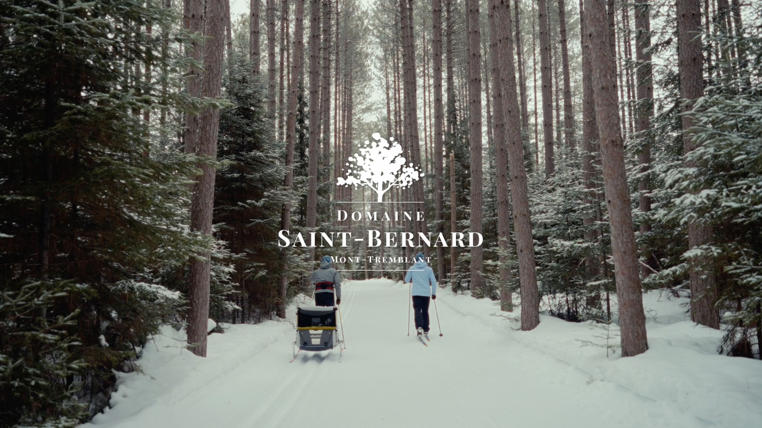 Domaine Saint-Bernard - Winter 2026