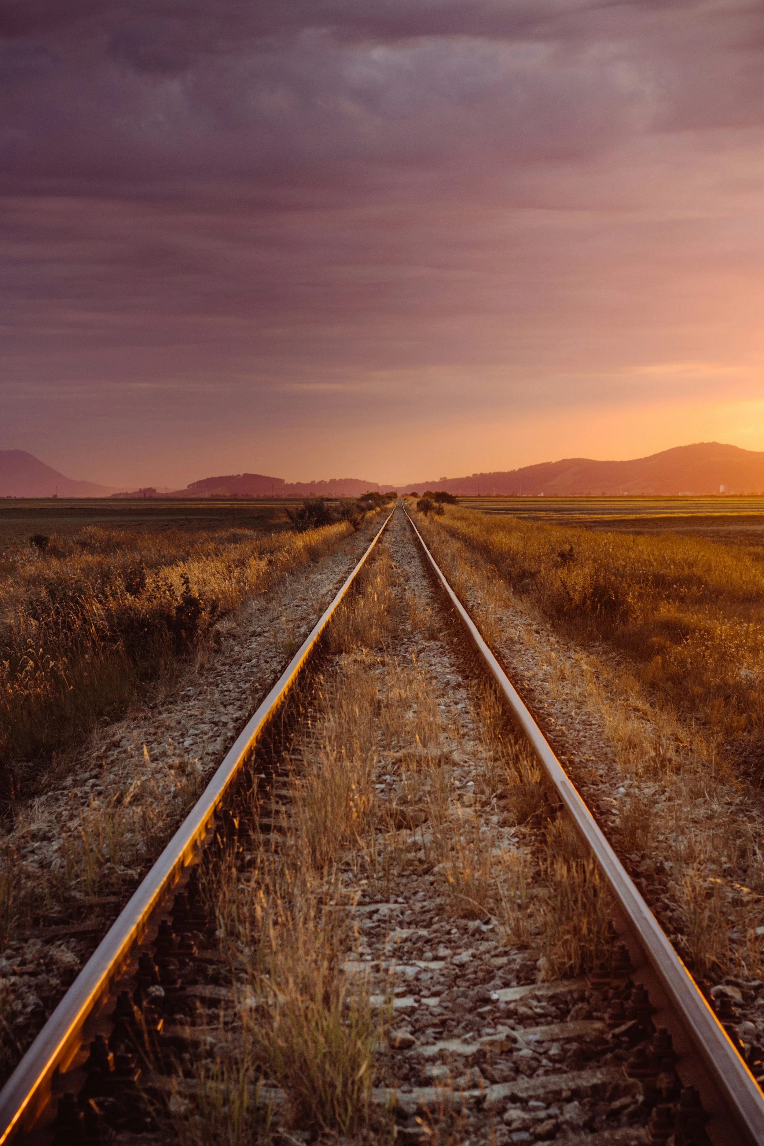 How to keep risk and tolerance aligned