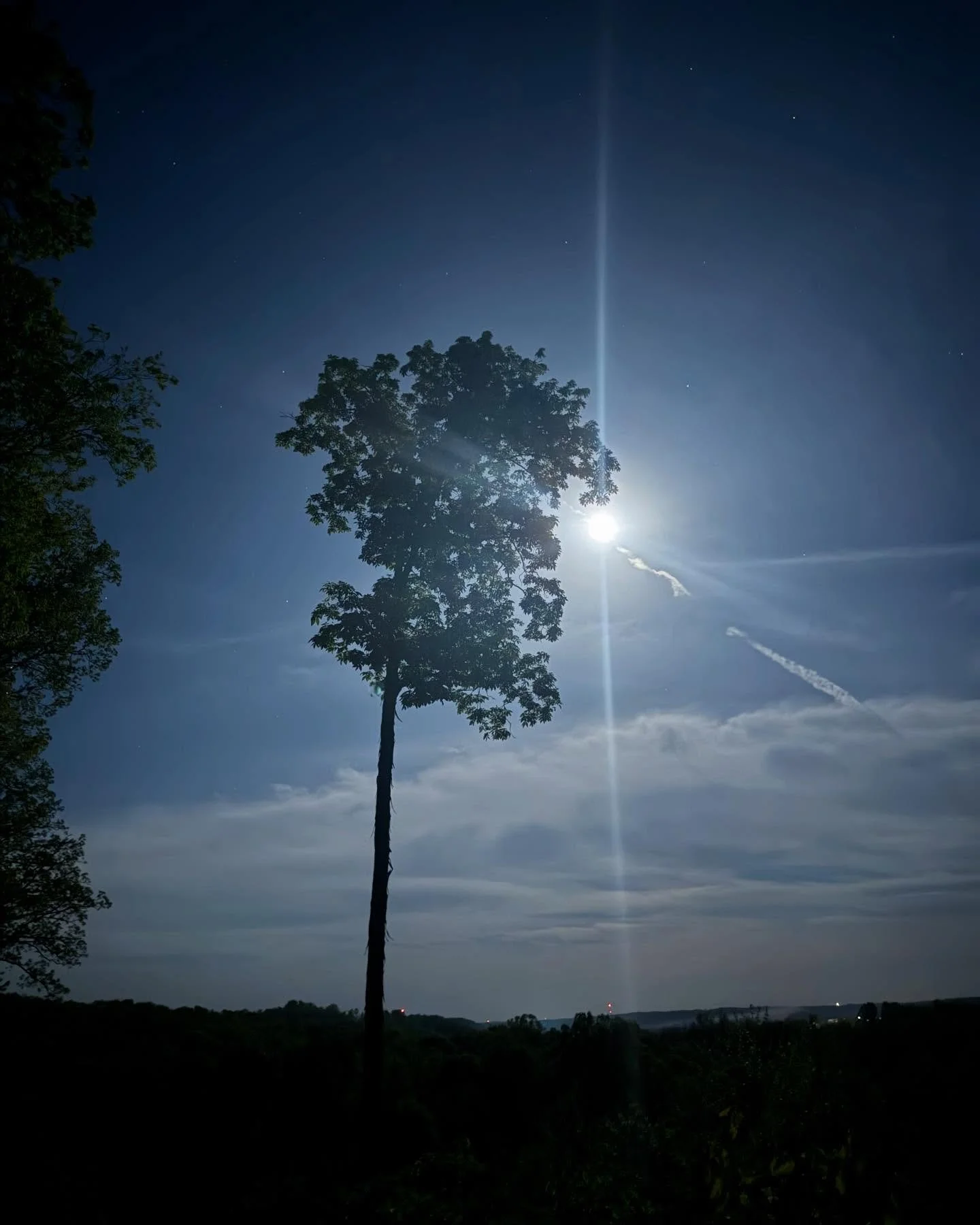 The moon in the Hocking Hills last night. 🌖🫶🏻🌖 #hockinghills #savinghollow