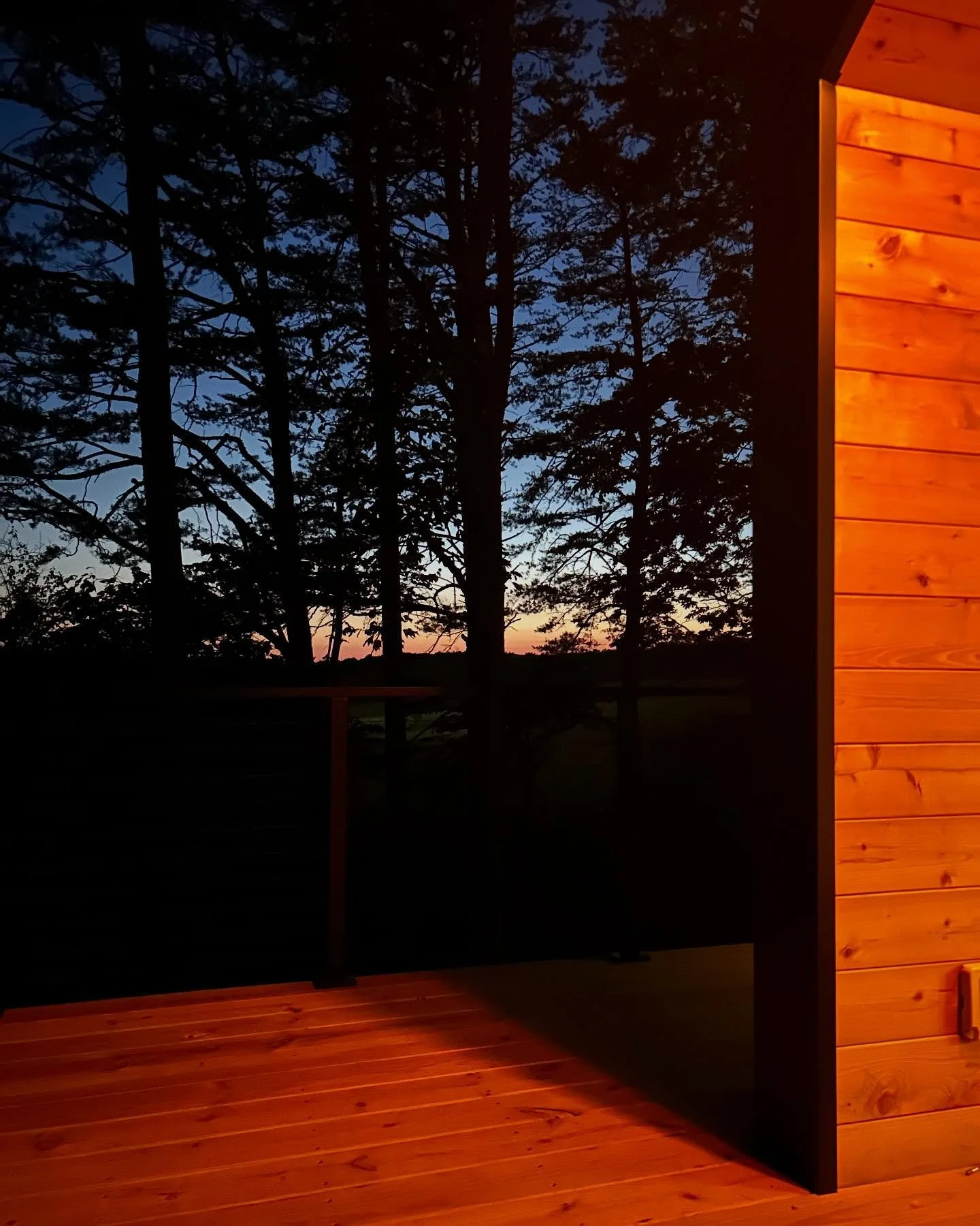 My view for the evening. 😍 #savinghollow