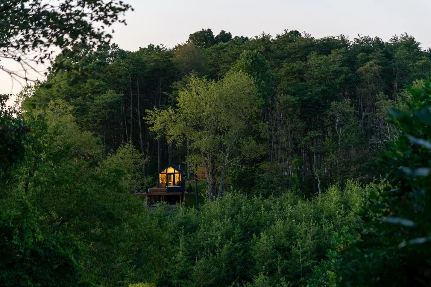 Dave may have gotten himself a little bit of poison ivy while trying to get this shot - Definitely worth the sacrifice. 😉🍃😍

This was taken from the opposite hillside of the cabin we&rsquo;ve named The View. Dave took it several weeks ago, but nev