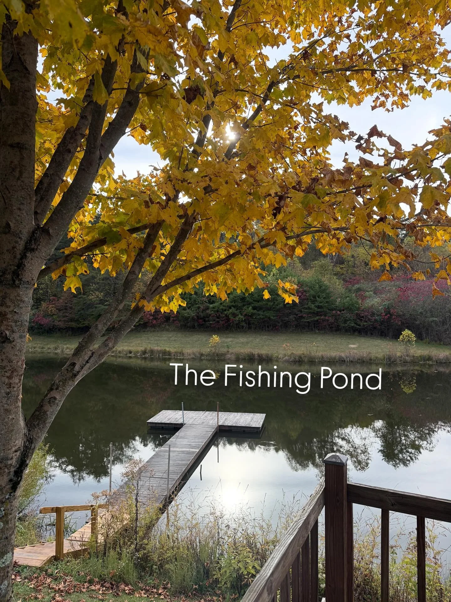 Our pond is stocked and waiting for you!