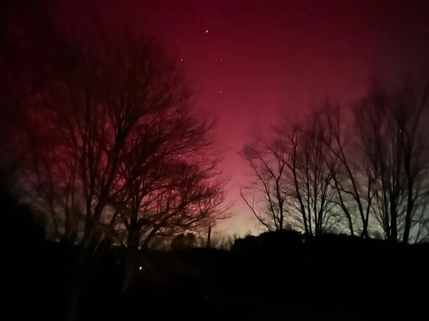 The Northern Lights over Saving Hollow last night. ✨