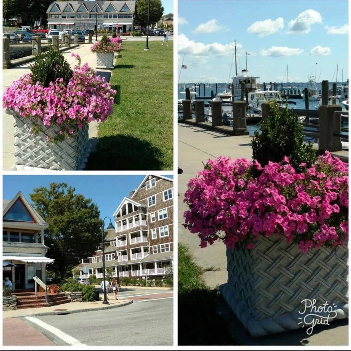 Collage of four outdoor scenes: top left shows a row of pink flowers in planters along a sidewalk with a building and parked cars in background; top right depicts a marina with boats docked at a pier under blue sky and clouds; bottom left features a street scene with a sidewalk, trees, multi-story buildings, and a few pedestrians; bottom right highlights a close-up of pink flowers in a decorative basket-shaped planter.