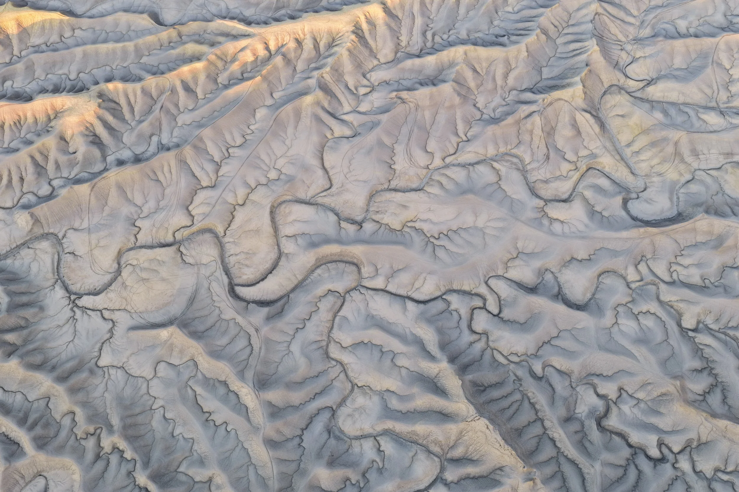 Veins of The Desert II.jpg