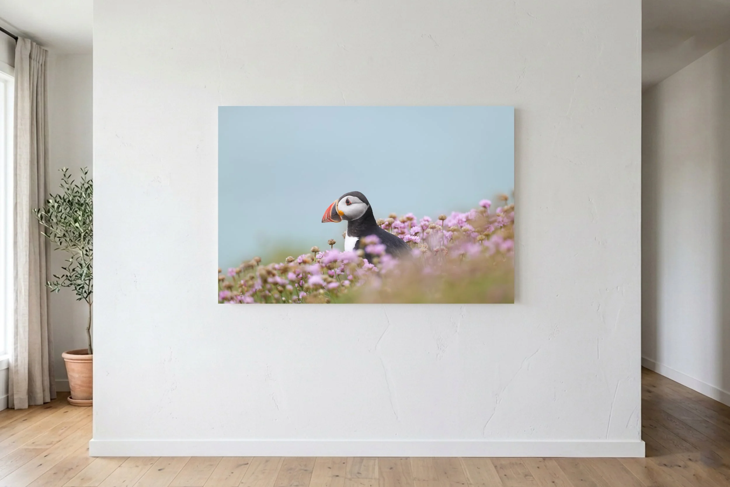 Puffin Flowers