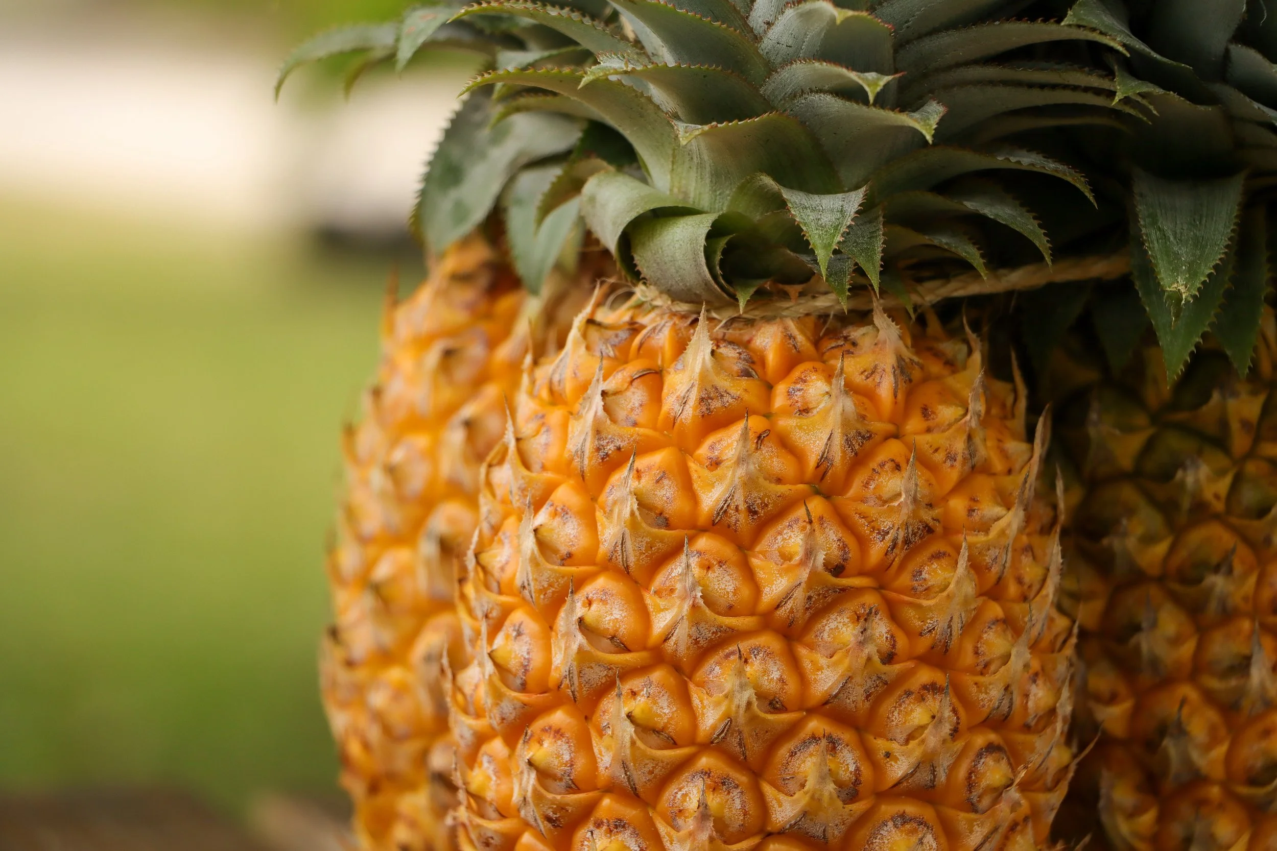 Pineapples