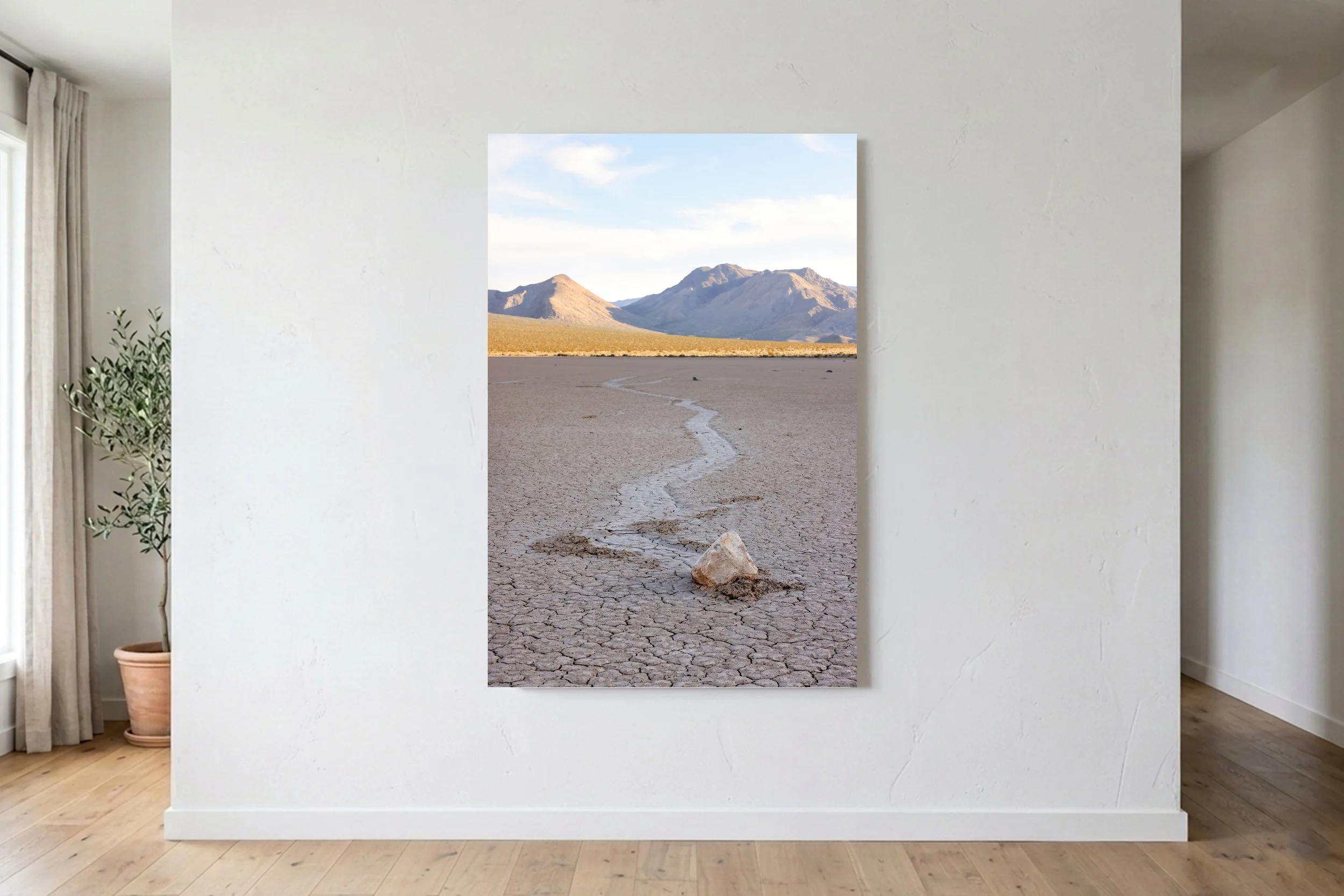 Racetrack Playa Portrait