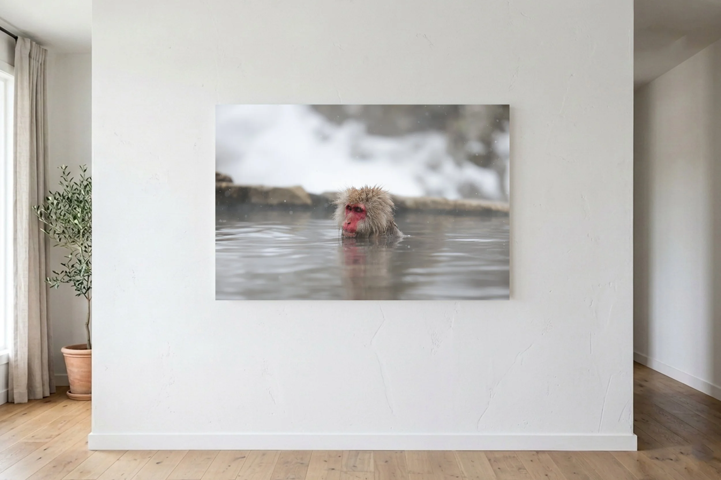 Snow Monkey