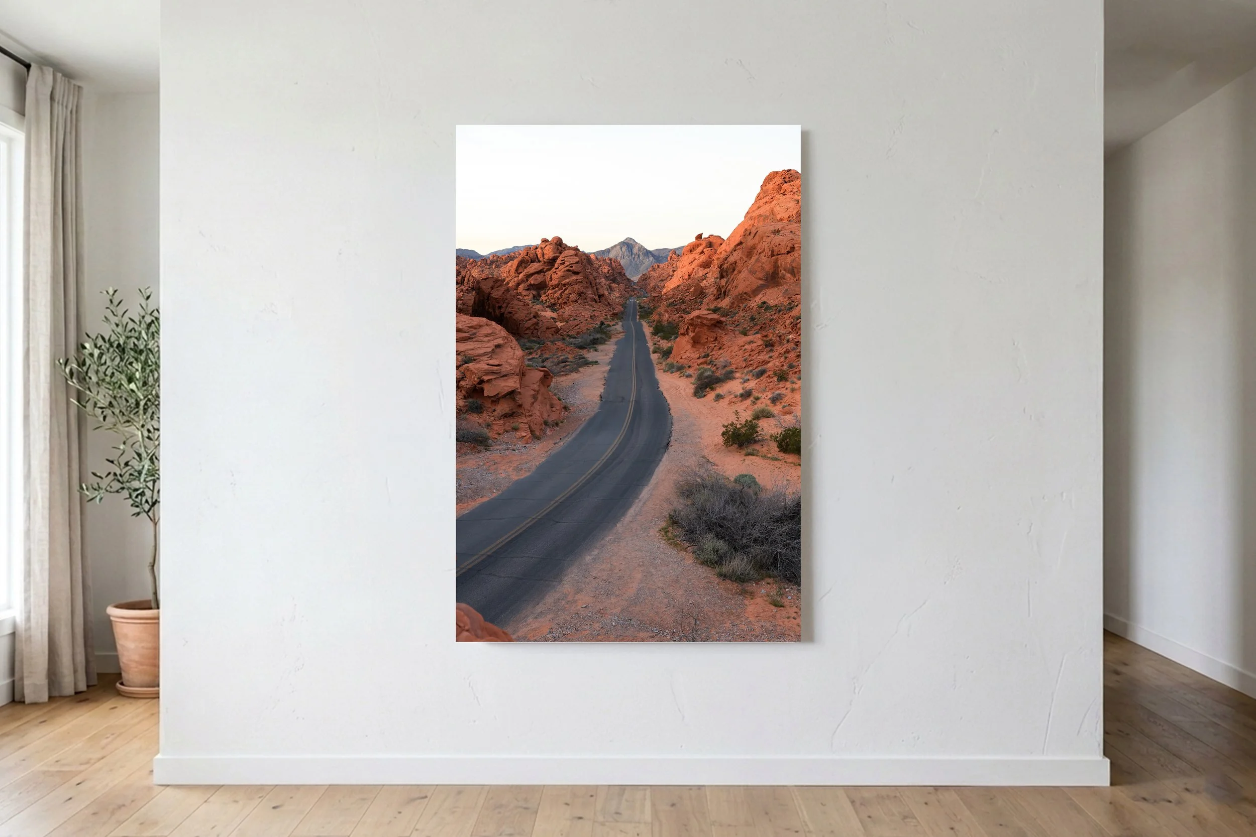 Valley of Fire Portrait