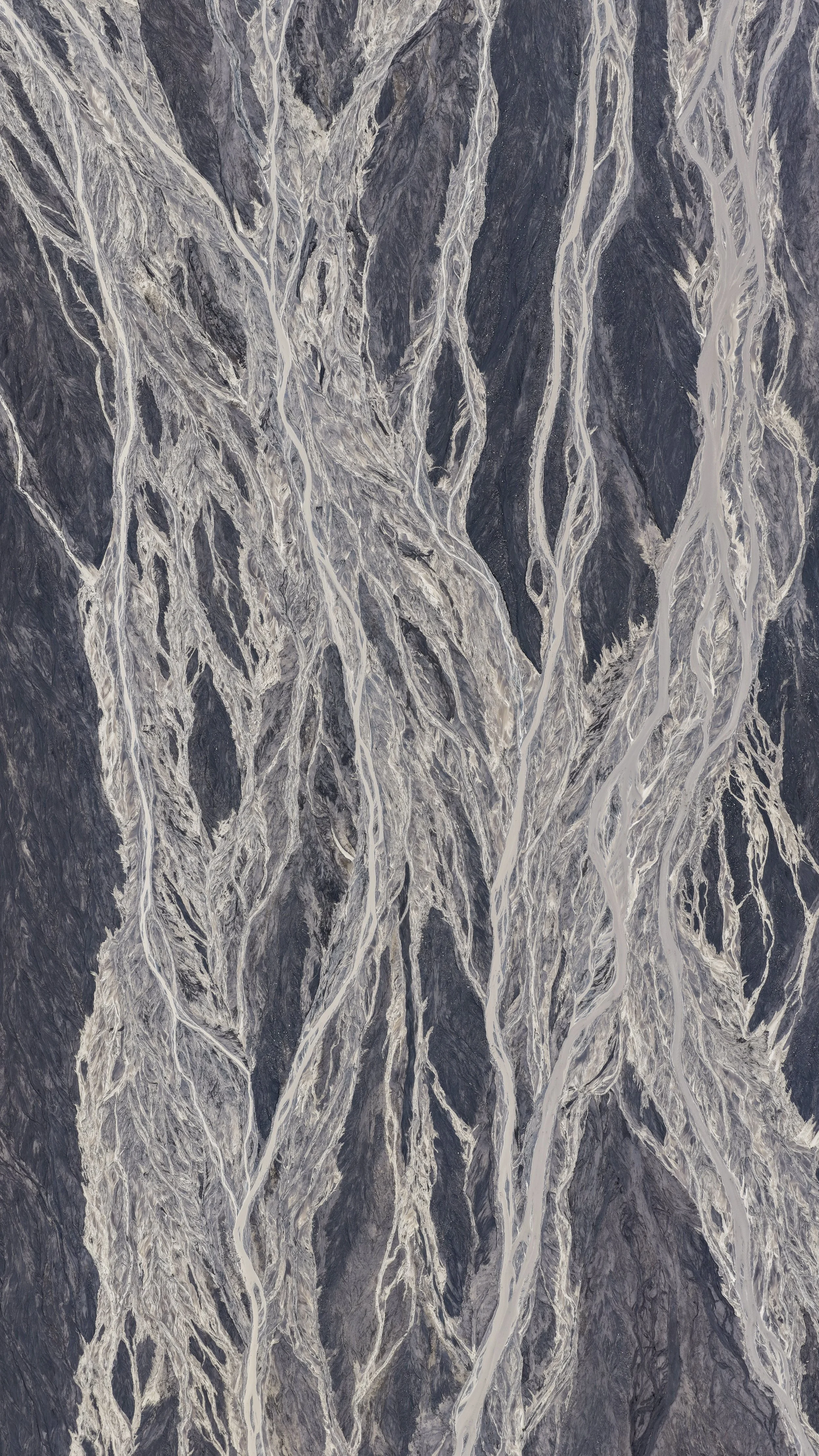Braided River Portrait