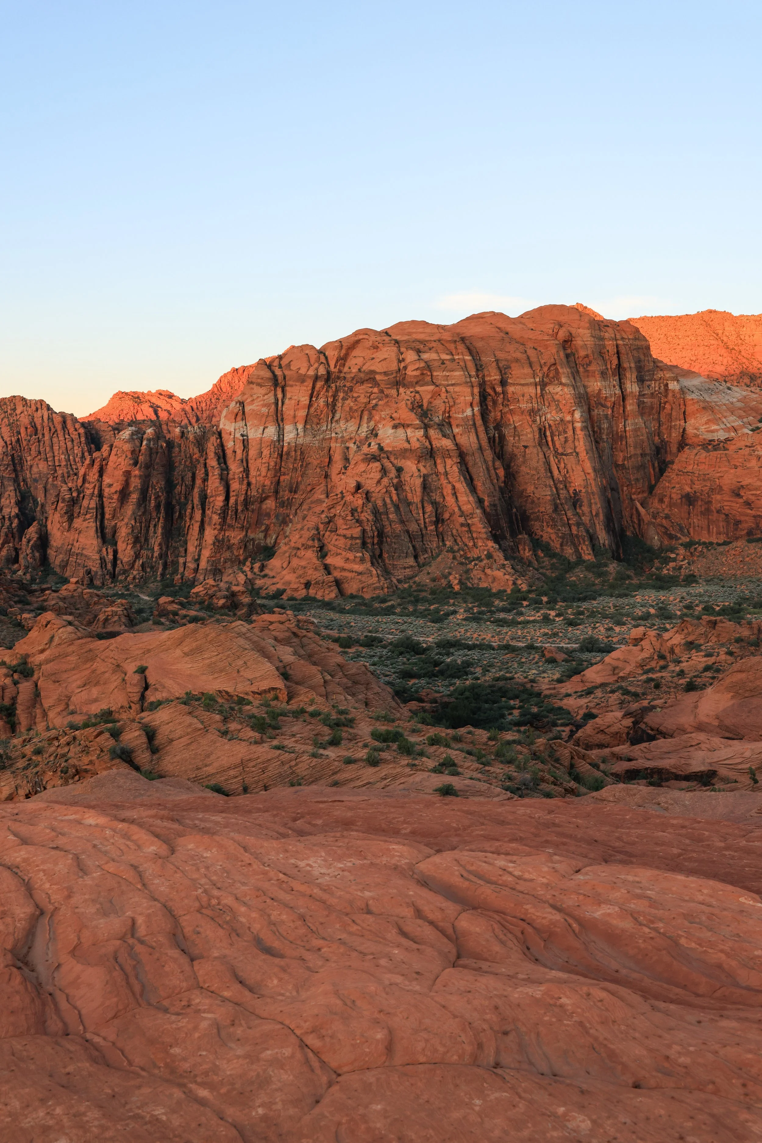 Snow Canyon Portrait.jpg