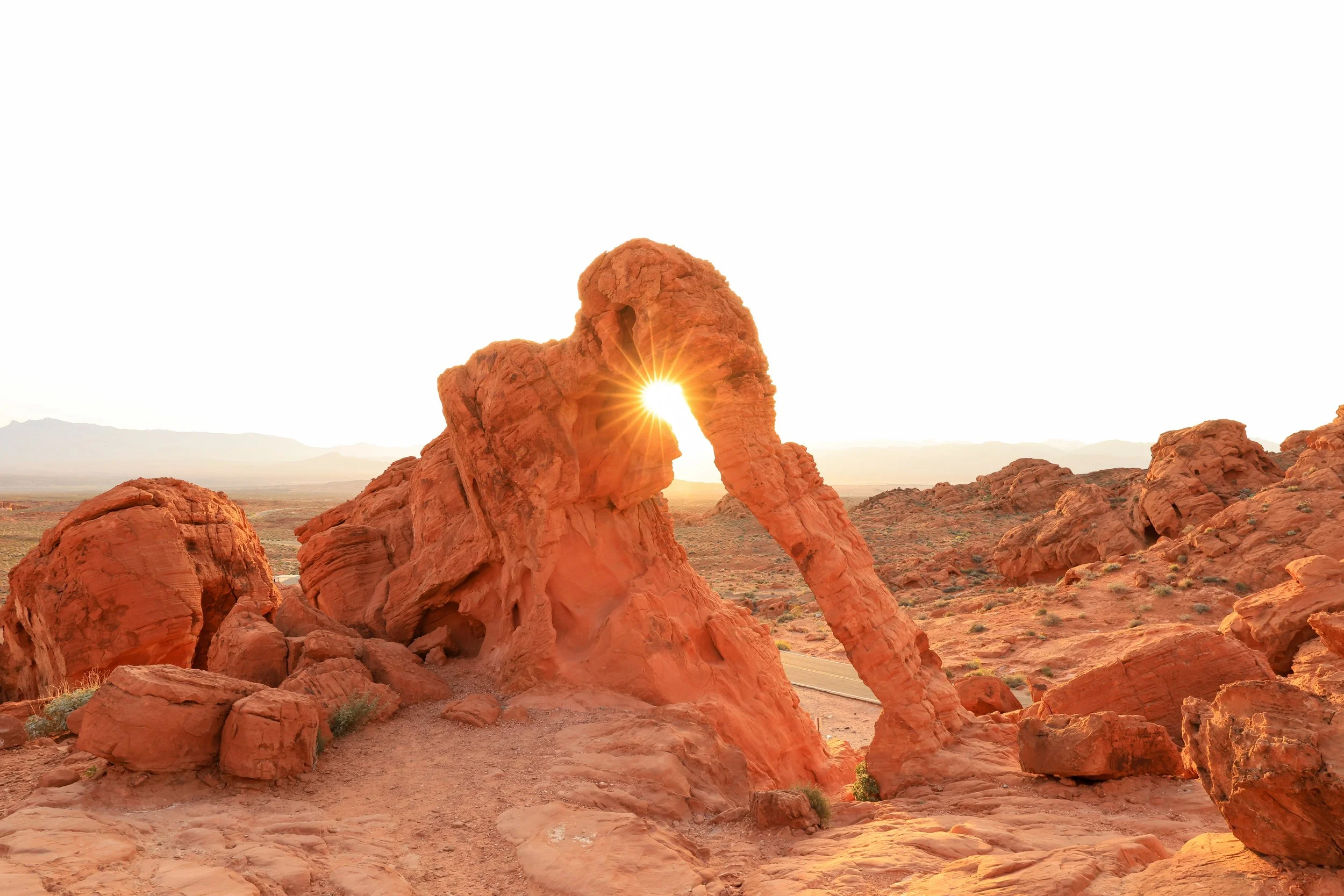 Elephant Rock Sunrise.jpg