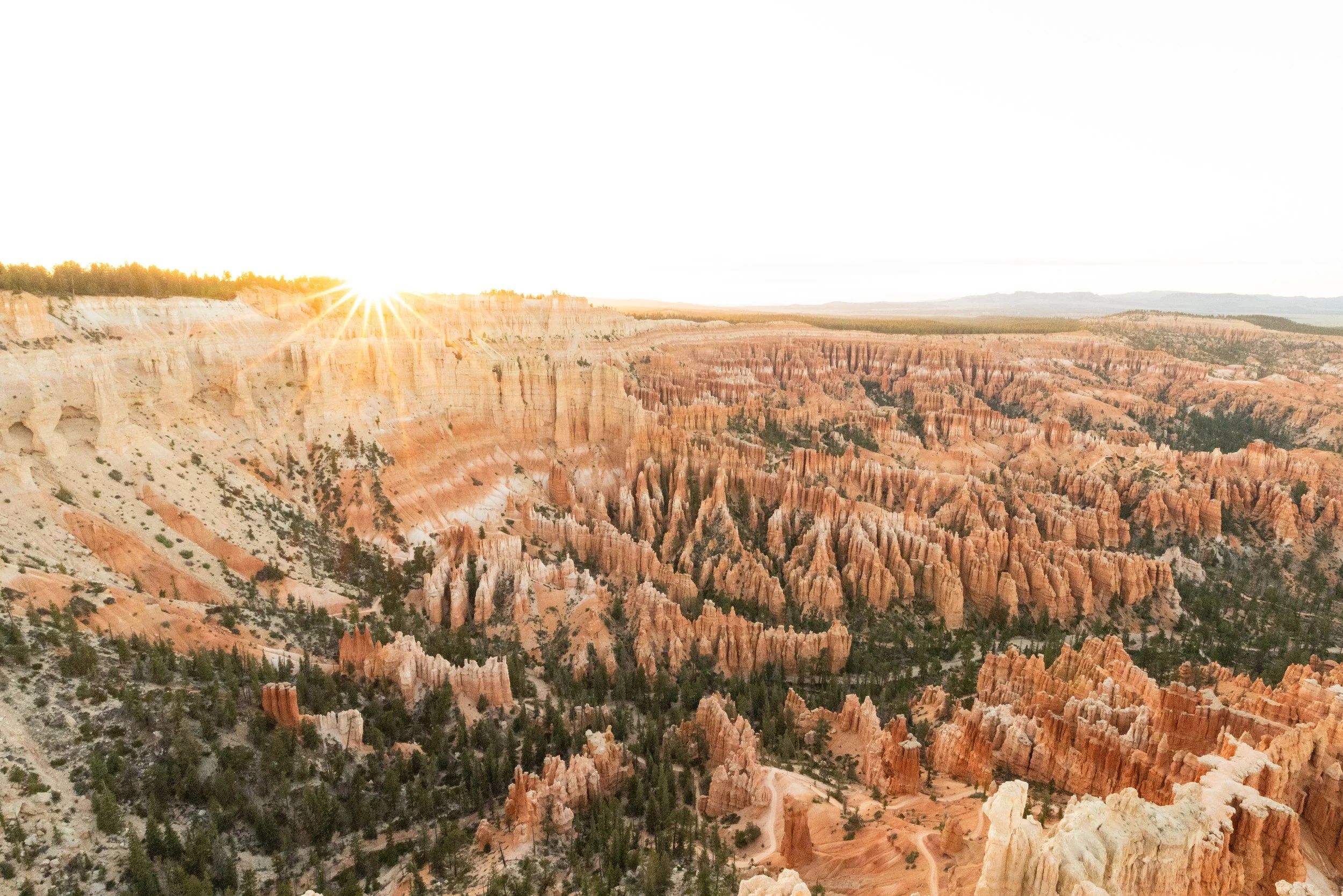 Bryce Point.jpg