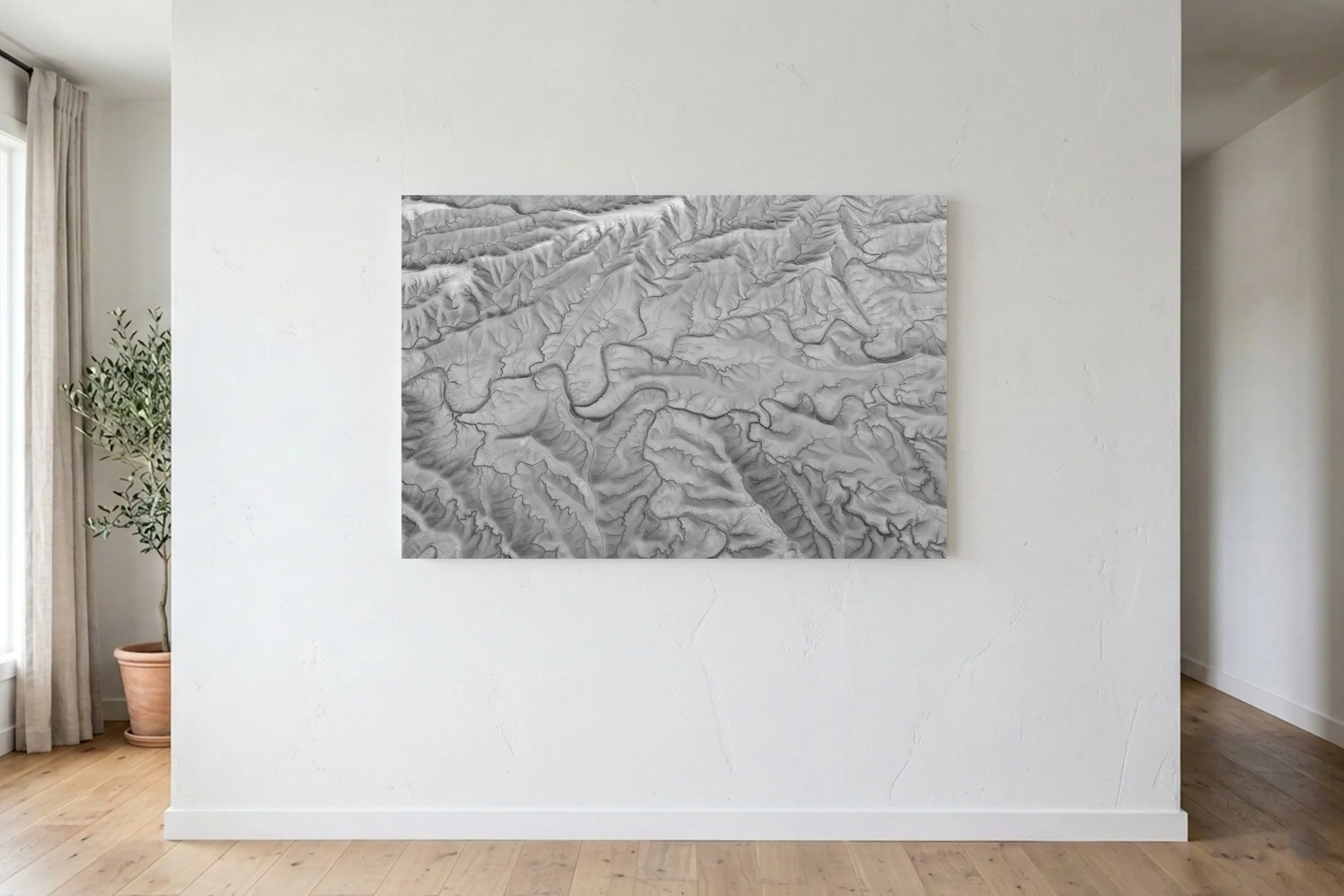 Veins of The Desert II - B&W On Wall.jpg