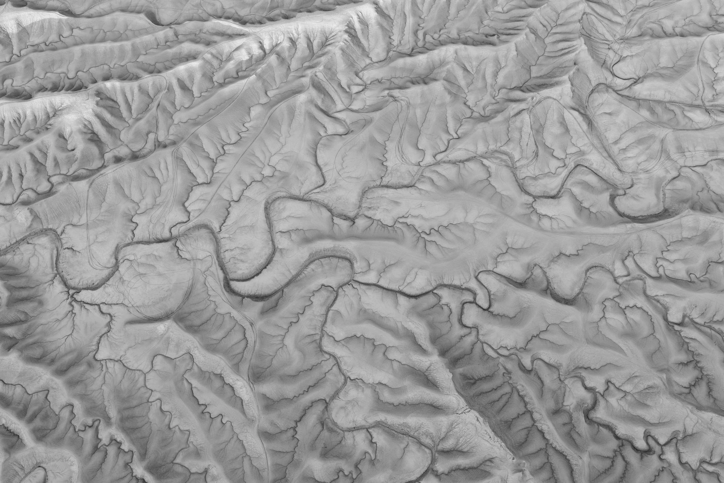 Veins of The Desert II - B&W.jpg
