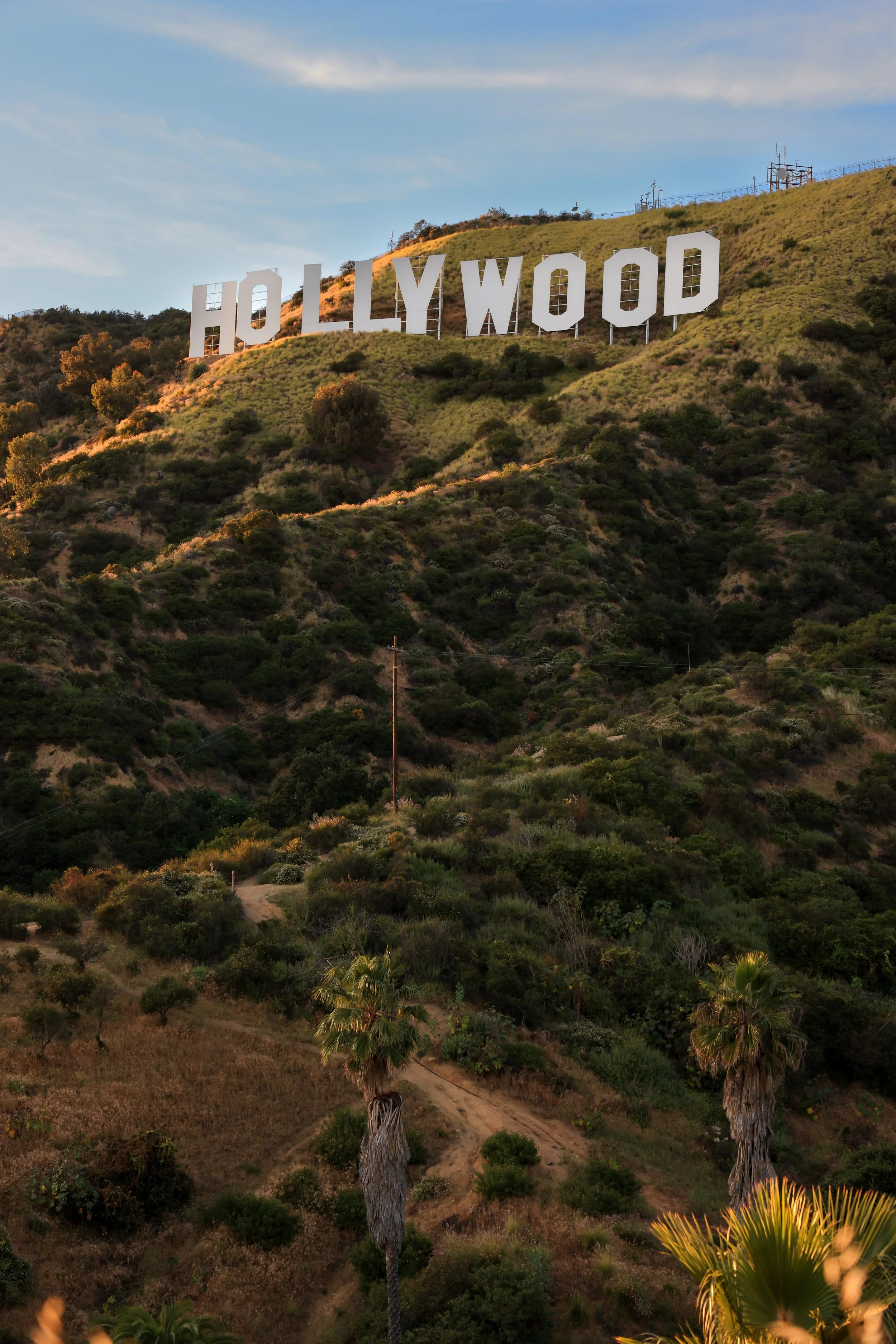 Hollywood Portrait.jpg