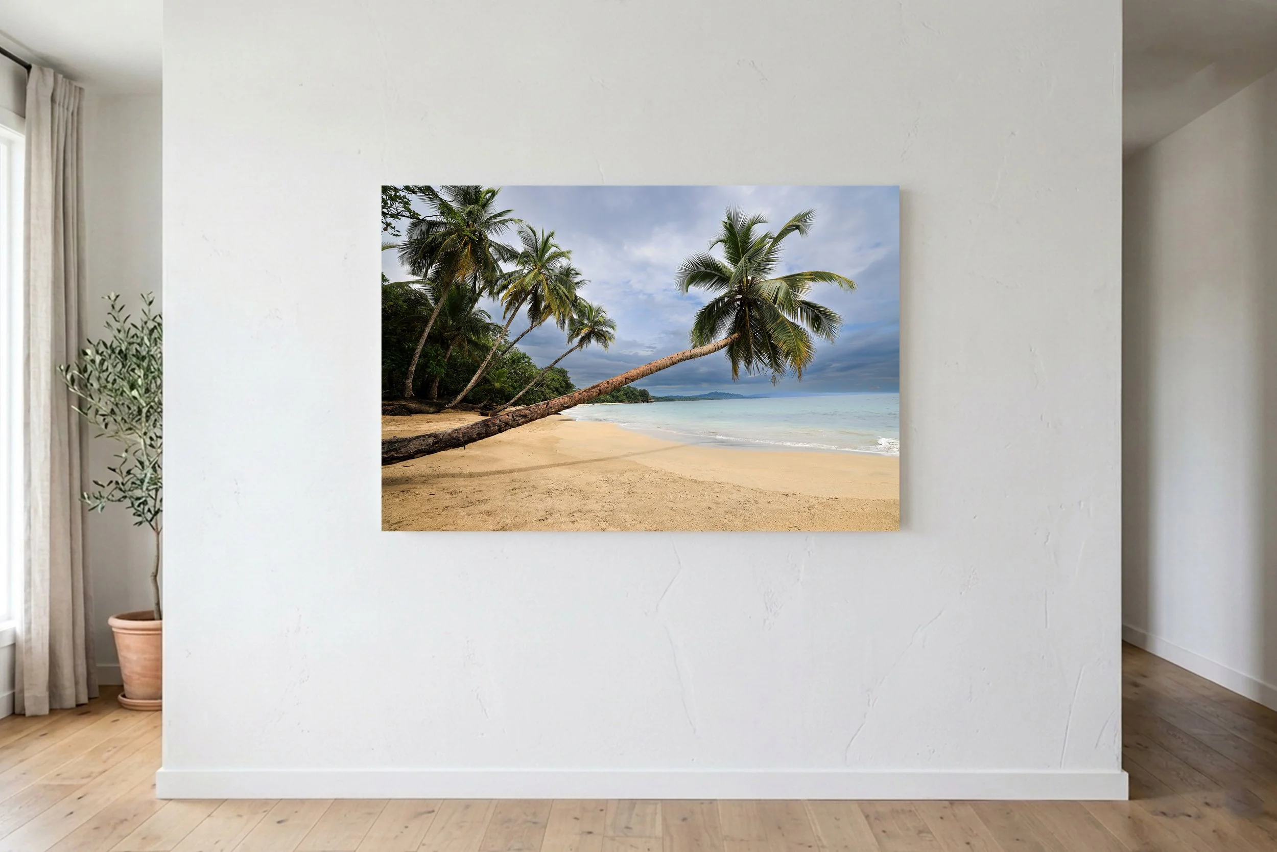 Leaning Palm