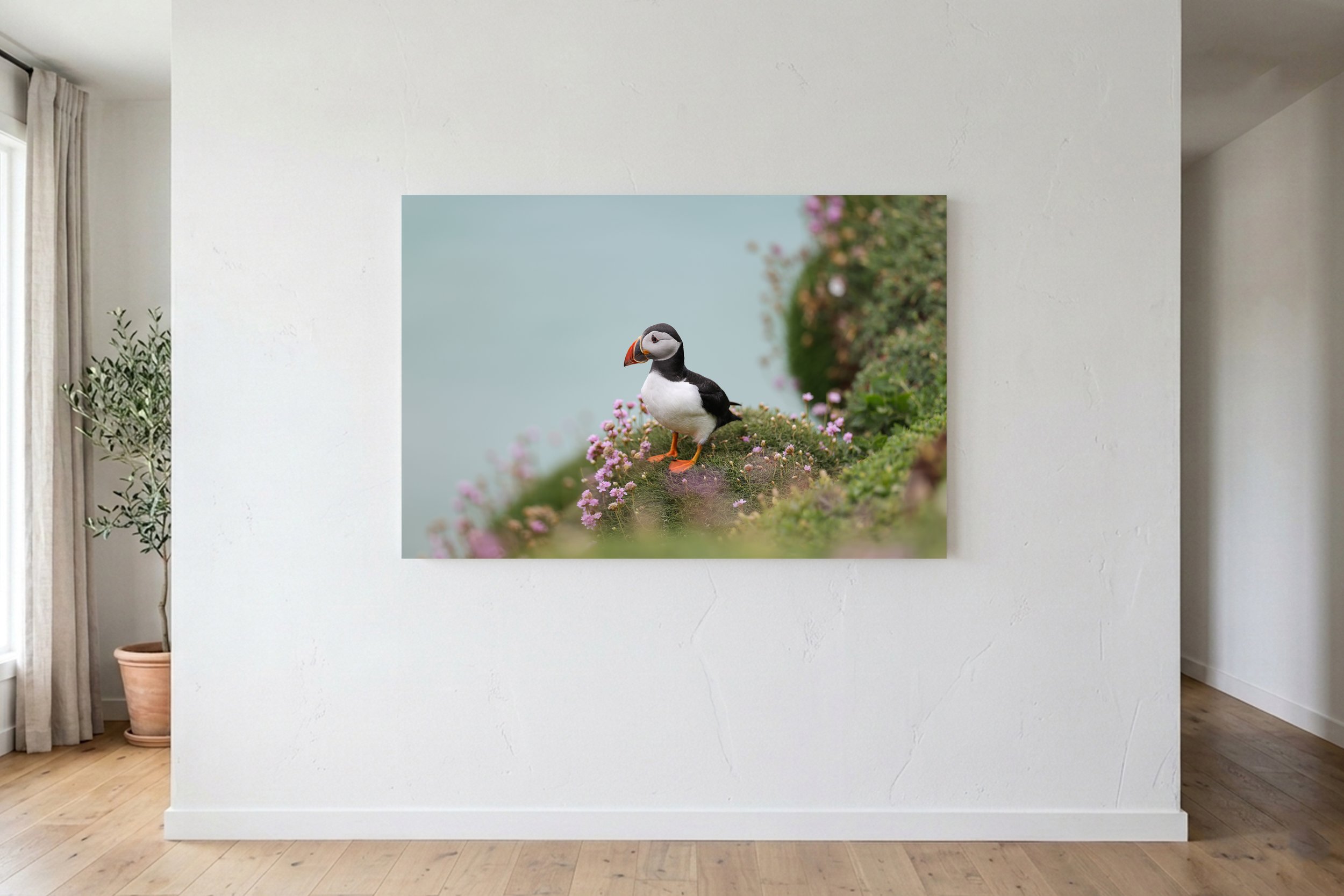 Puffin Perch