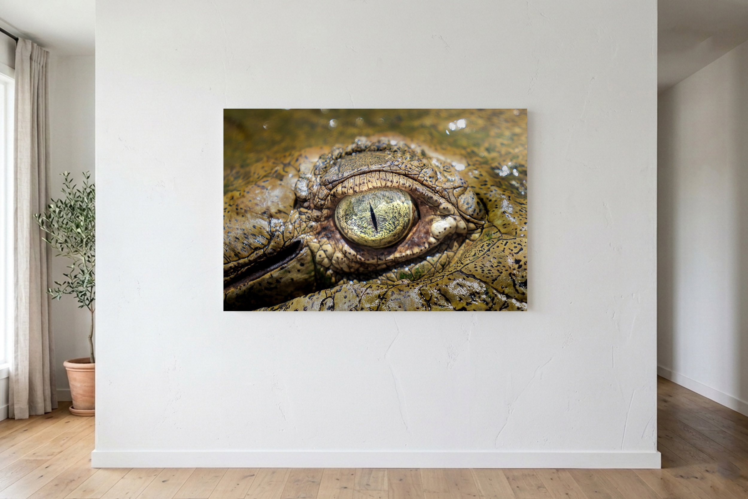 Eye of The Croc