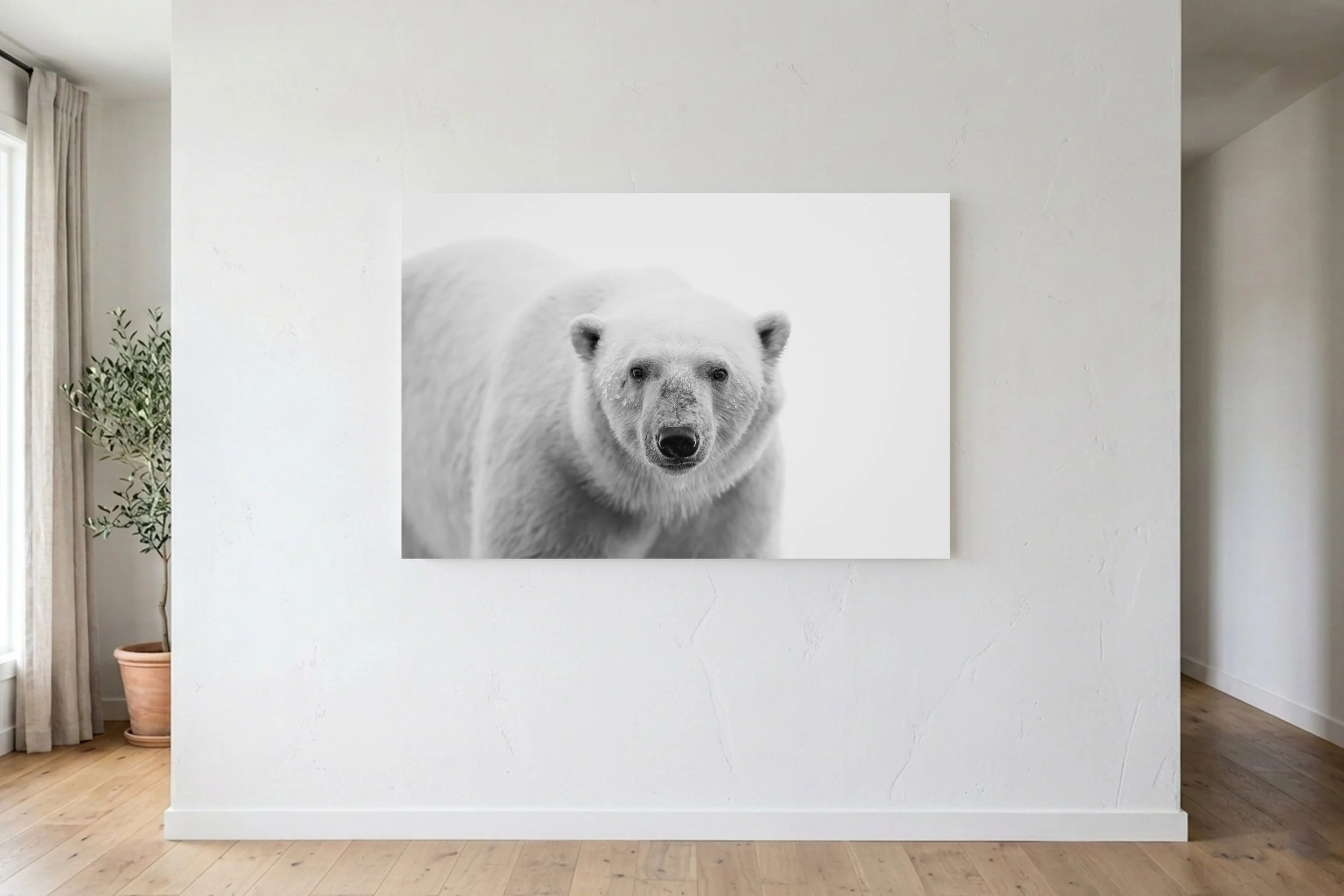 Polar Bear B&W