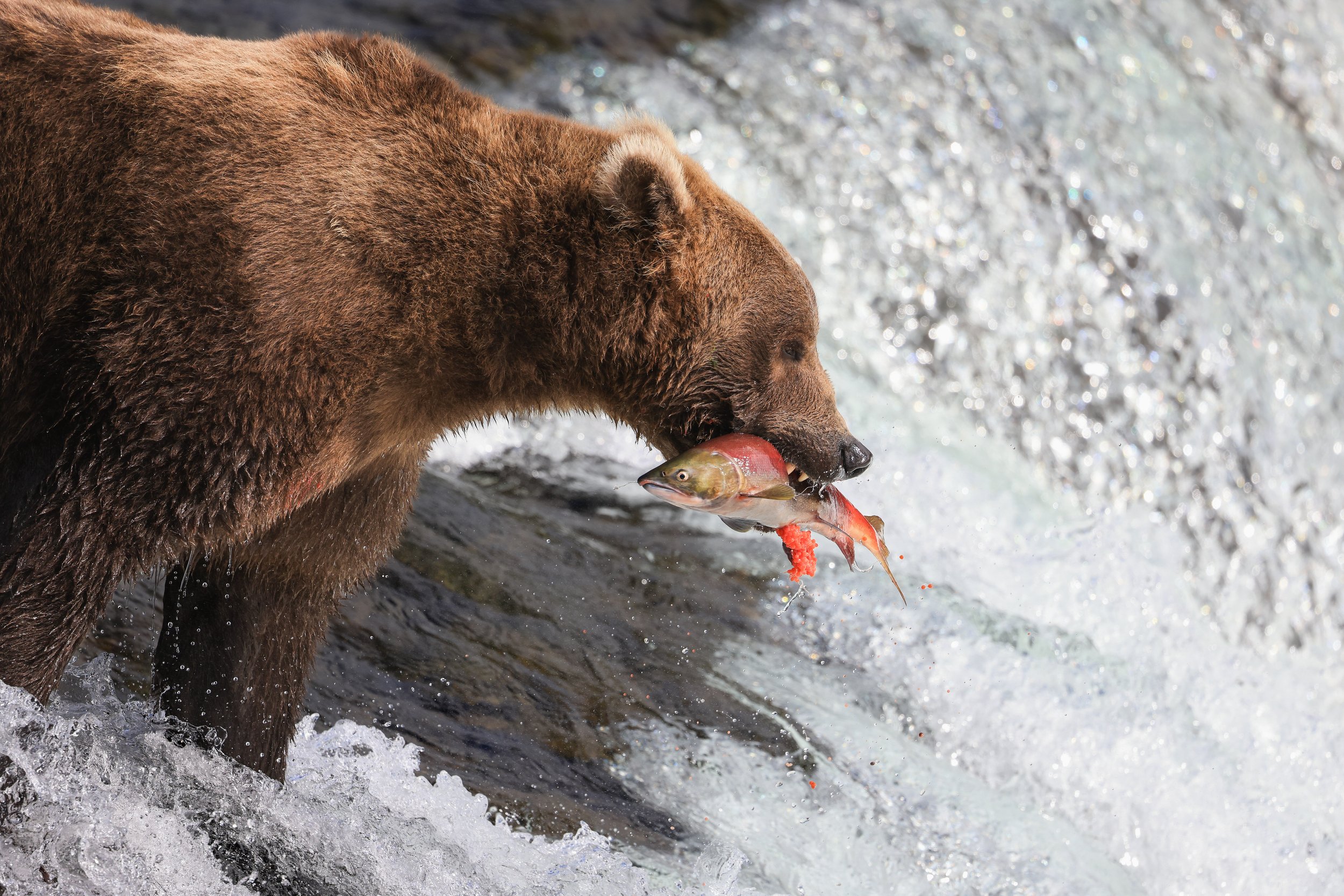 Gone Fishing