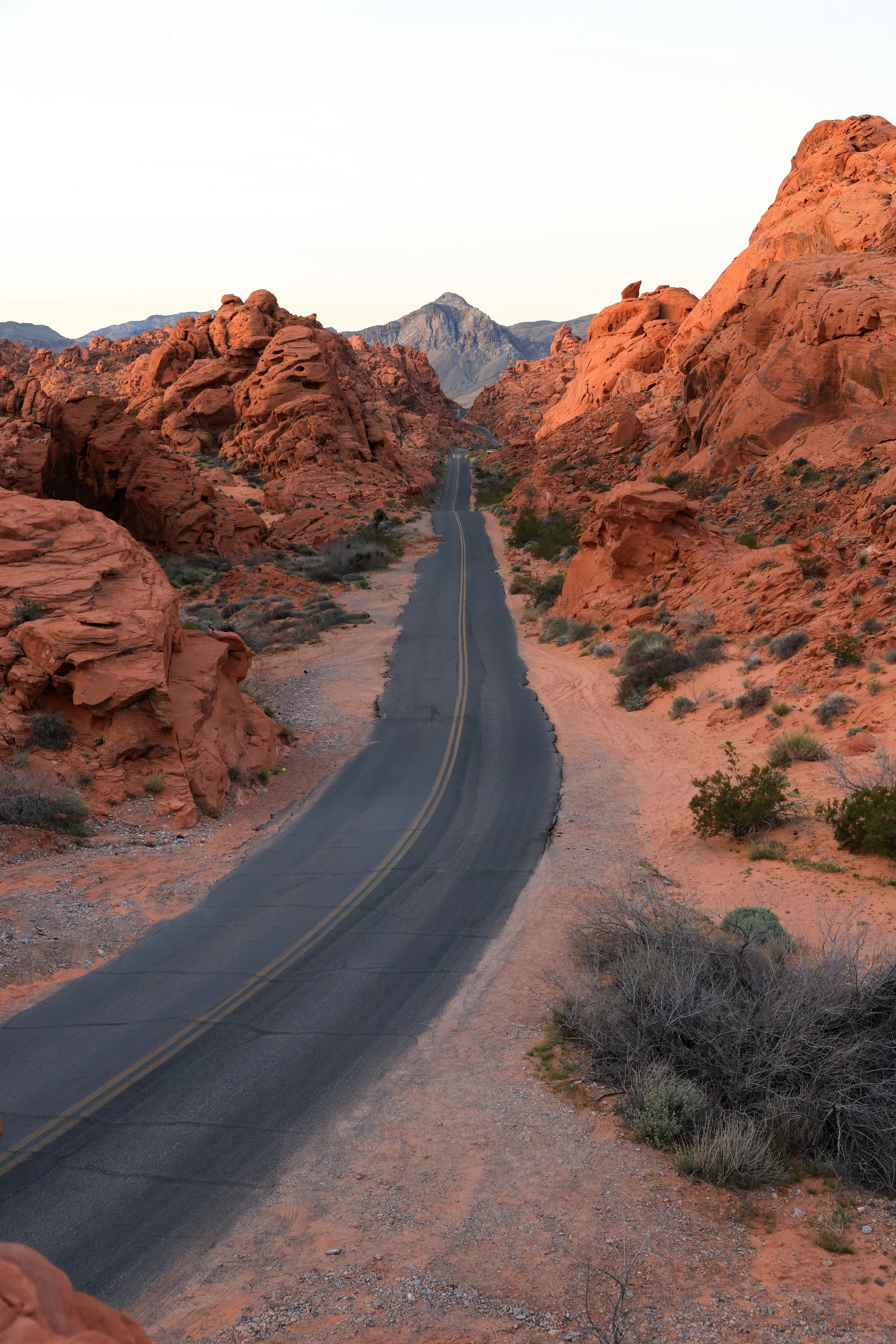 Valley of Fire Portrait.jpg