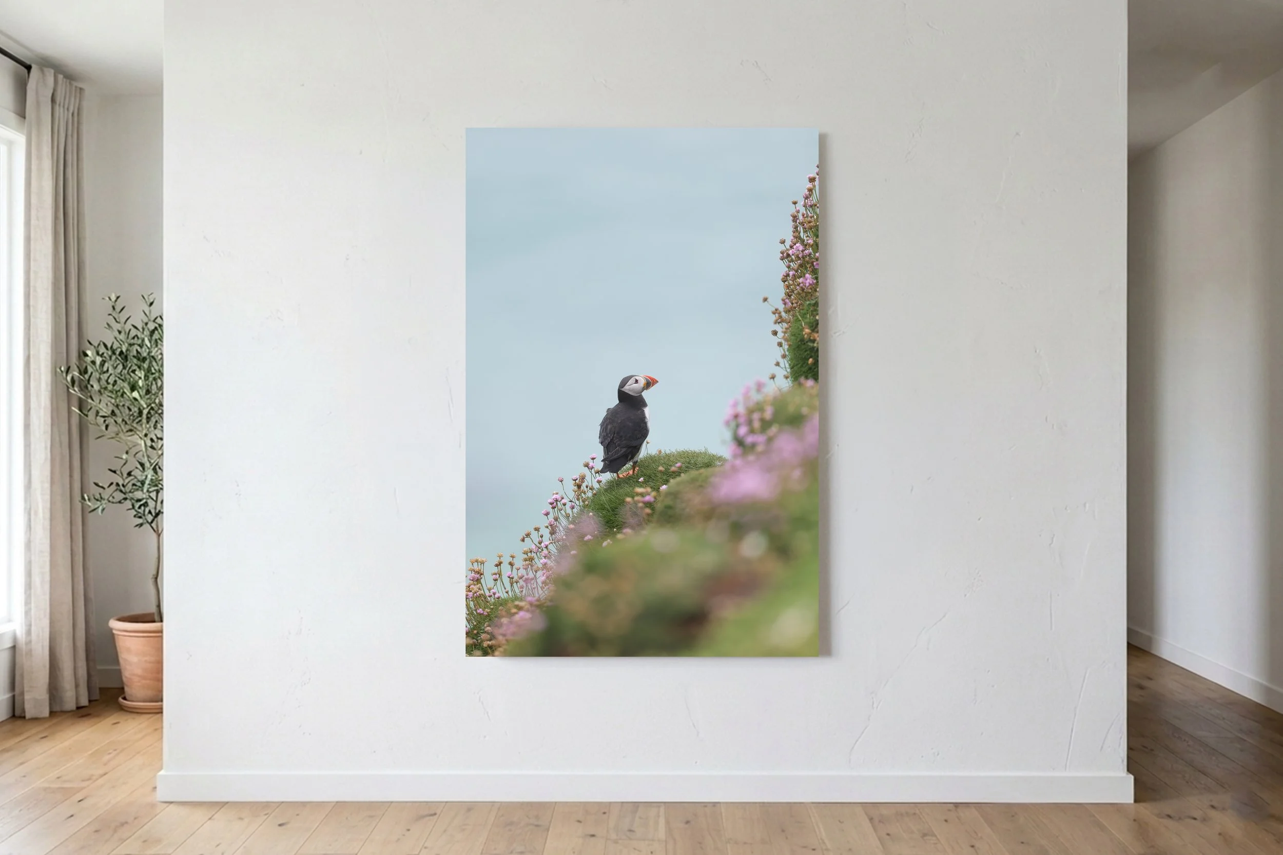 Puffin Explorer