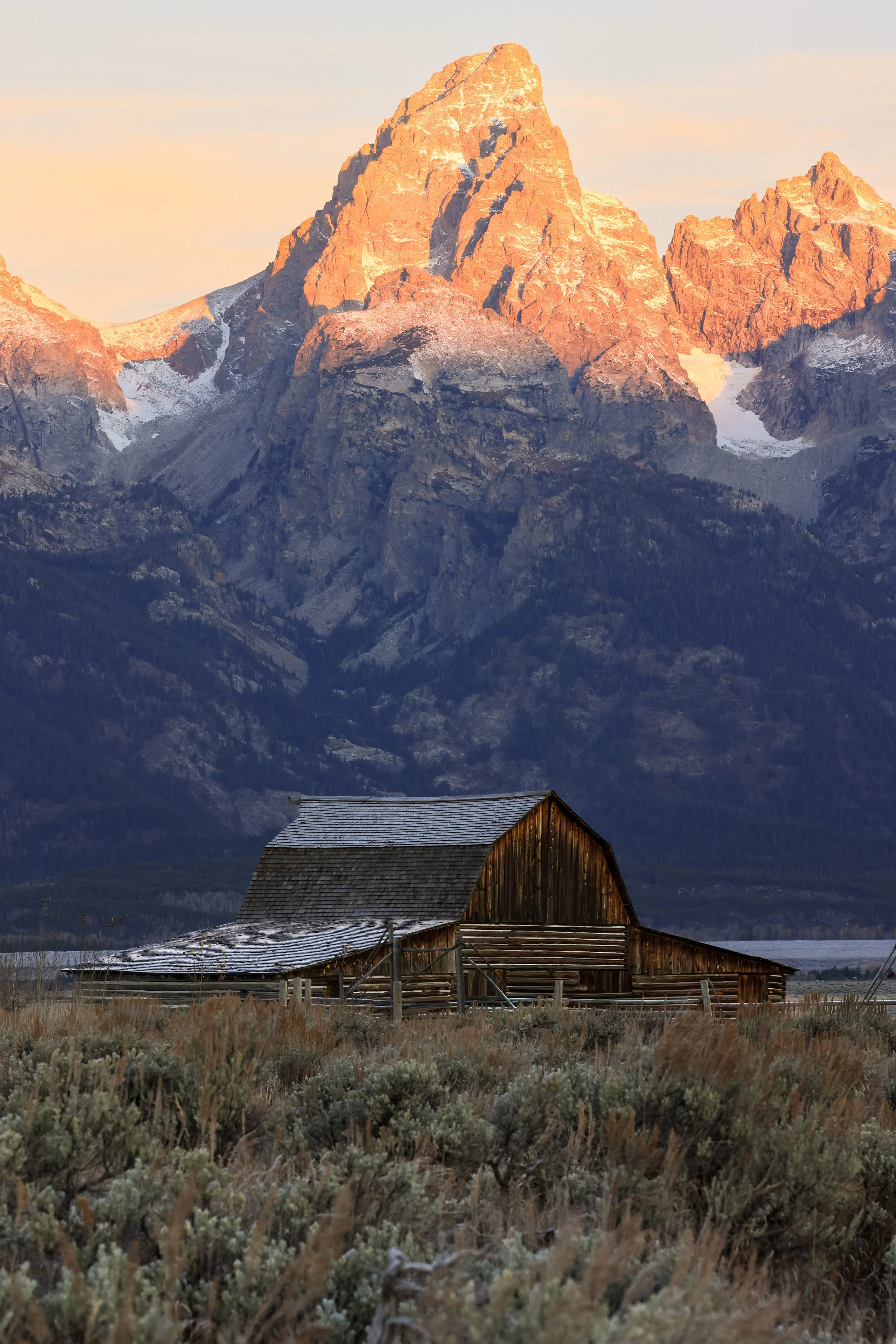 The Barn Portrait.jpg