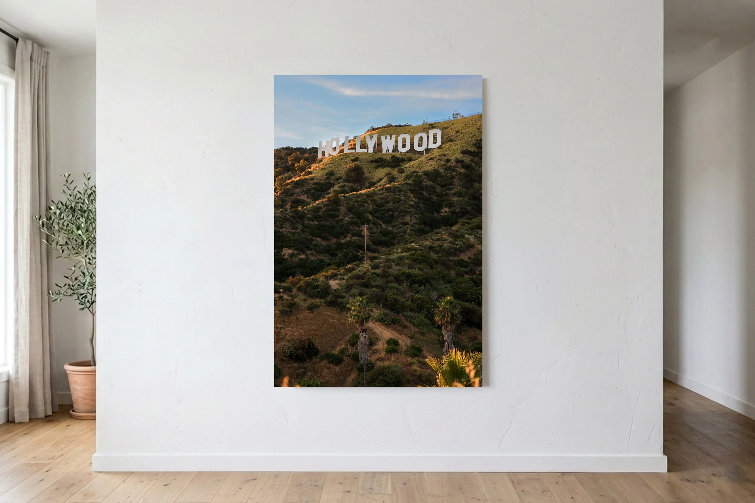 Hollywood Portrait