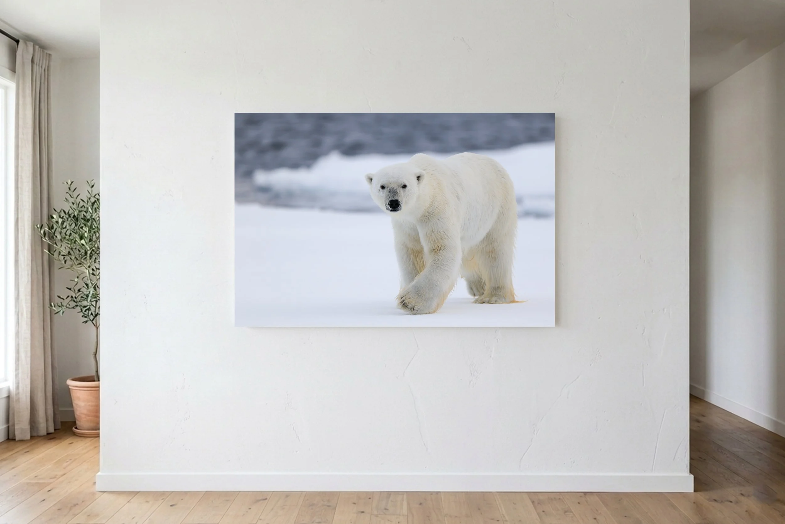 King of The Arctic On Wall.jpg