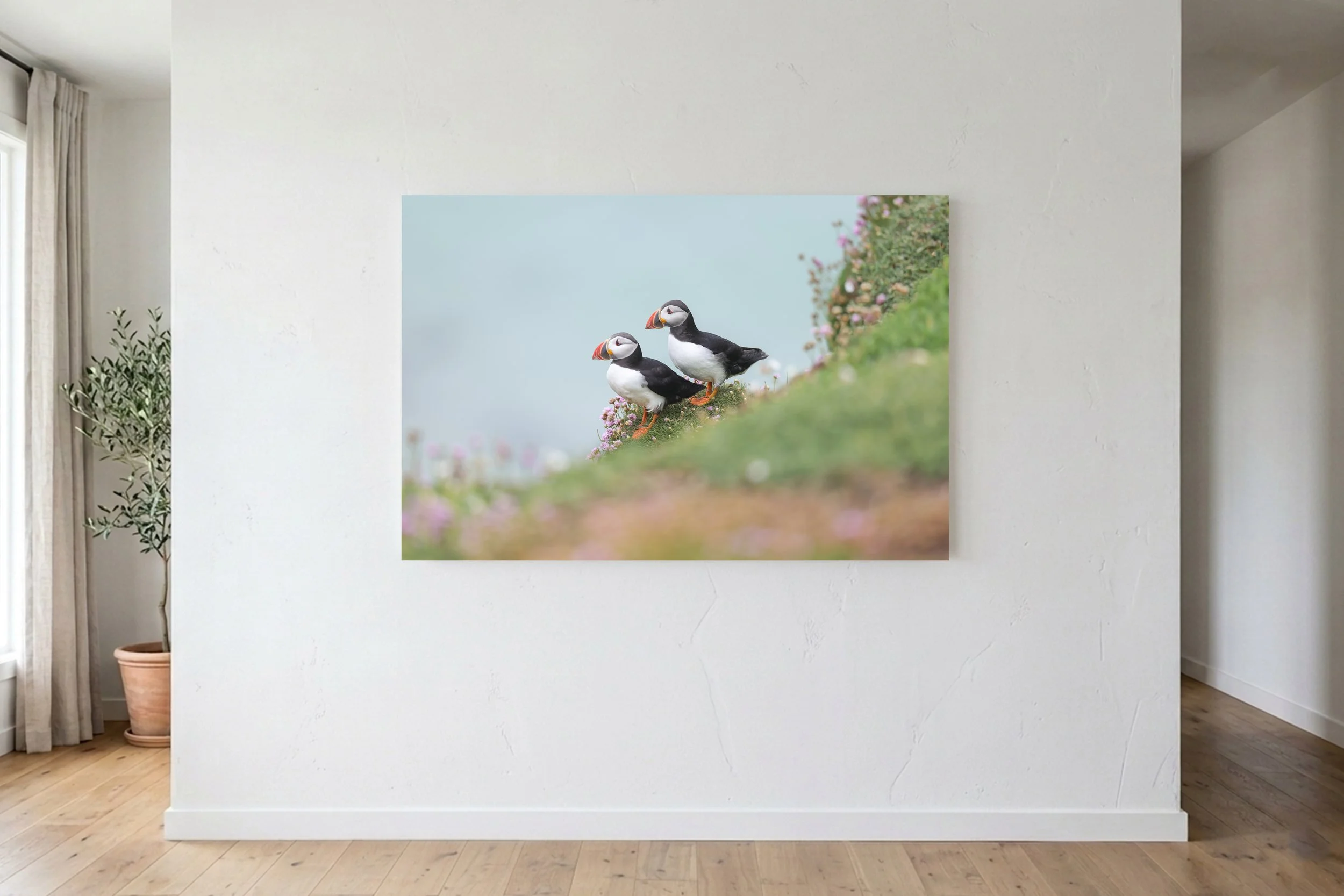 Puffin Pair