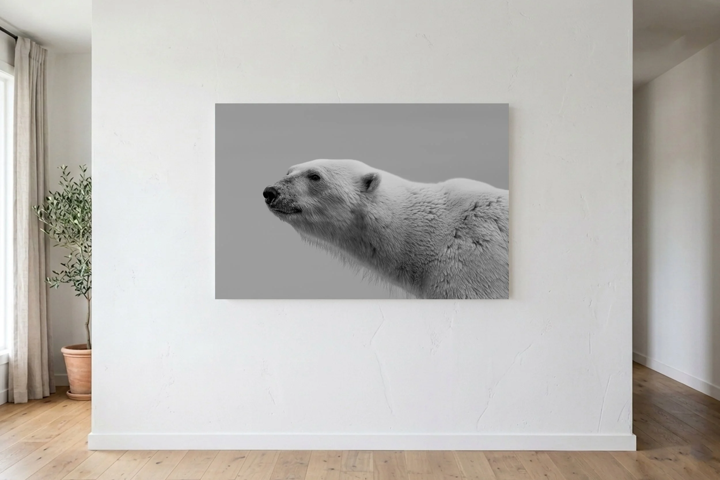Ursus Maritimus B&W