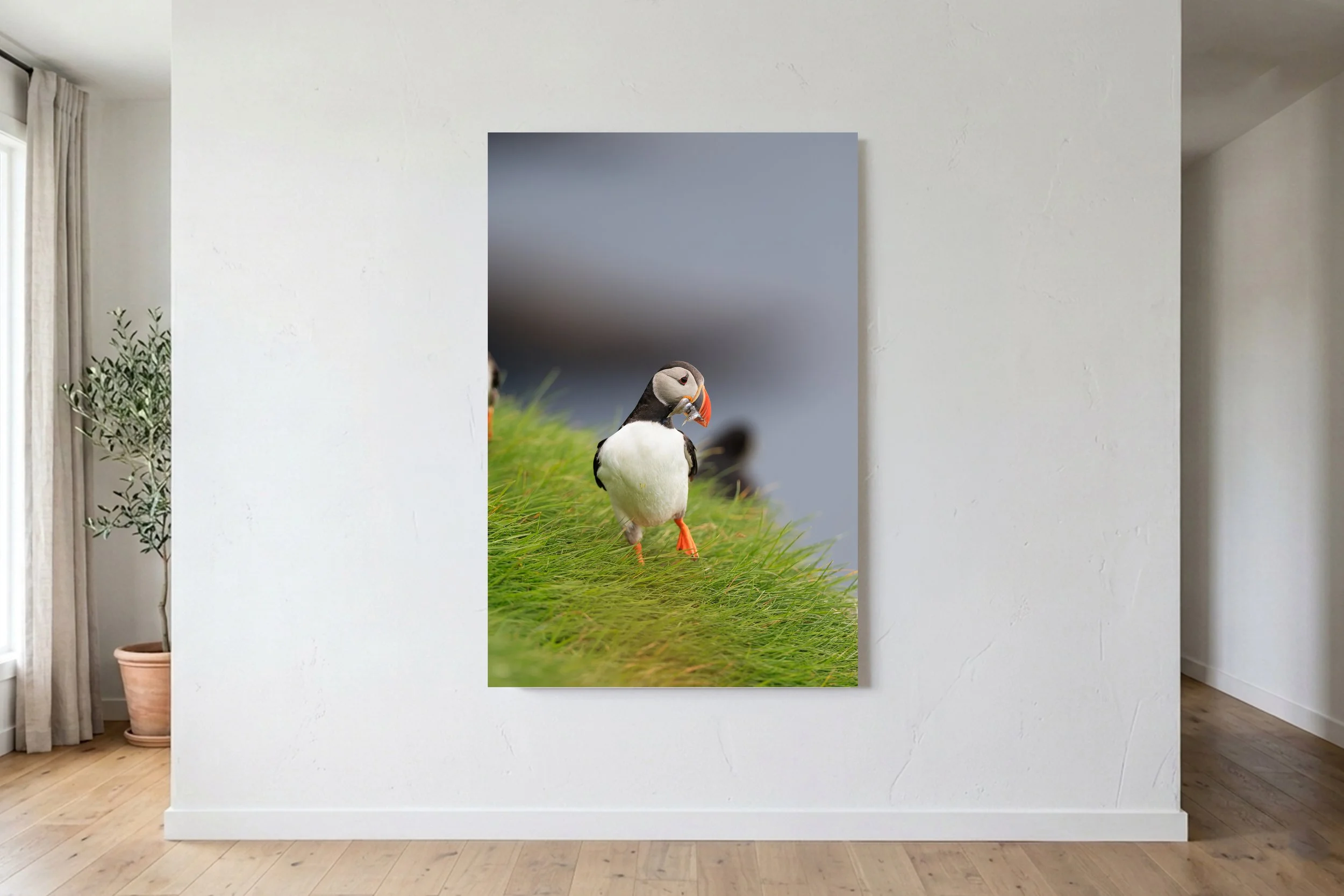 Puffin With Fish Portrait