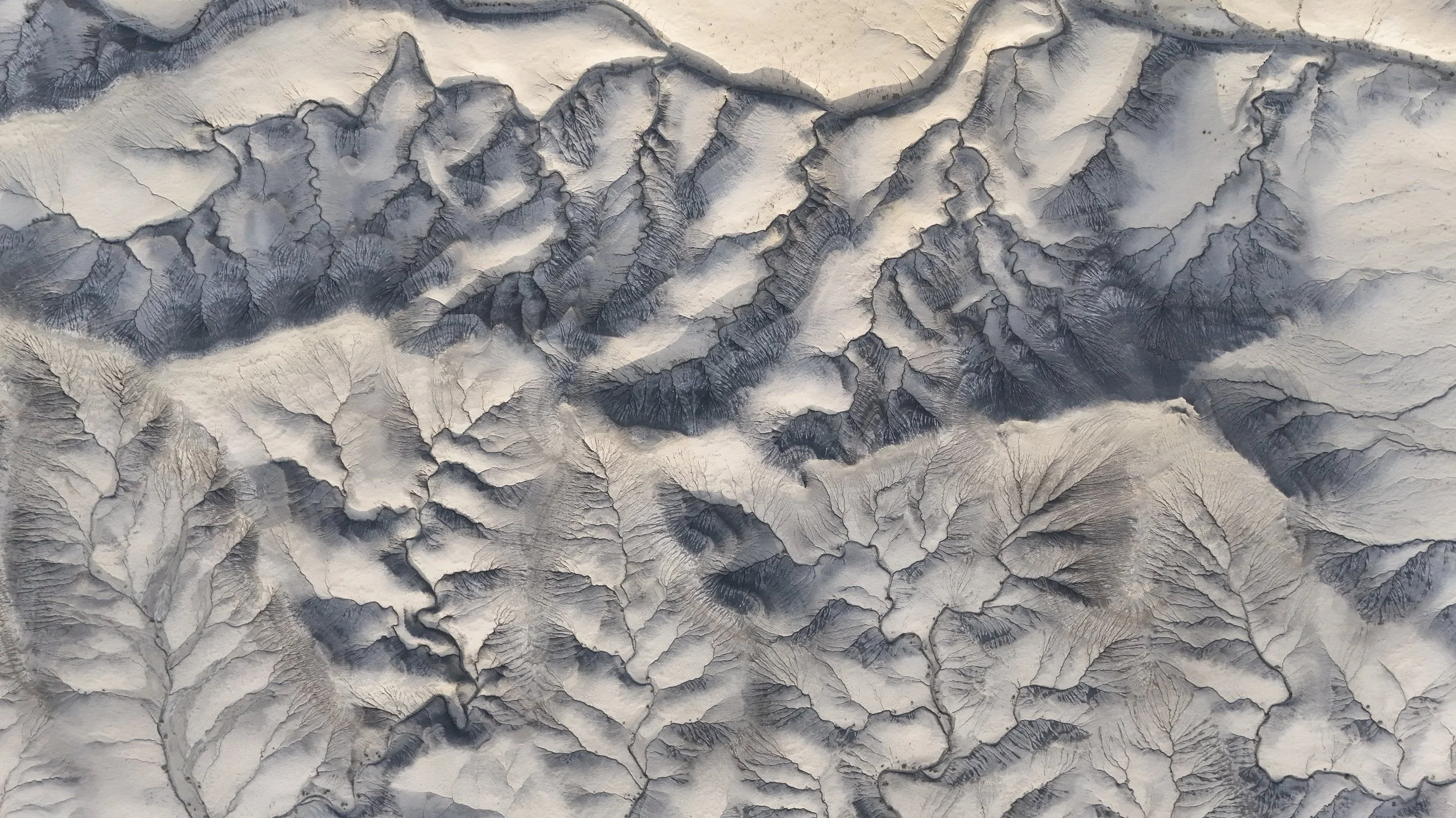 Veins of The Desert