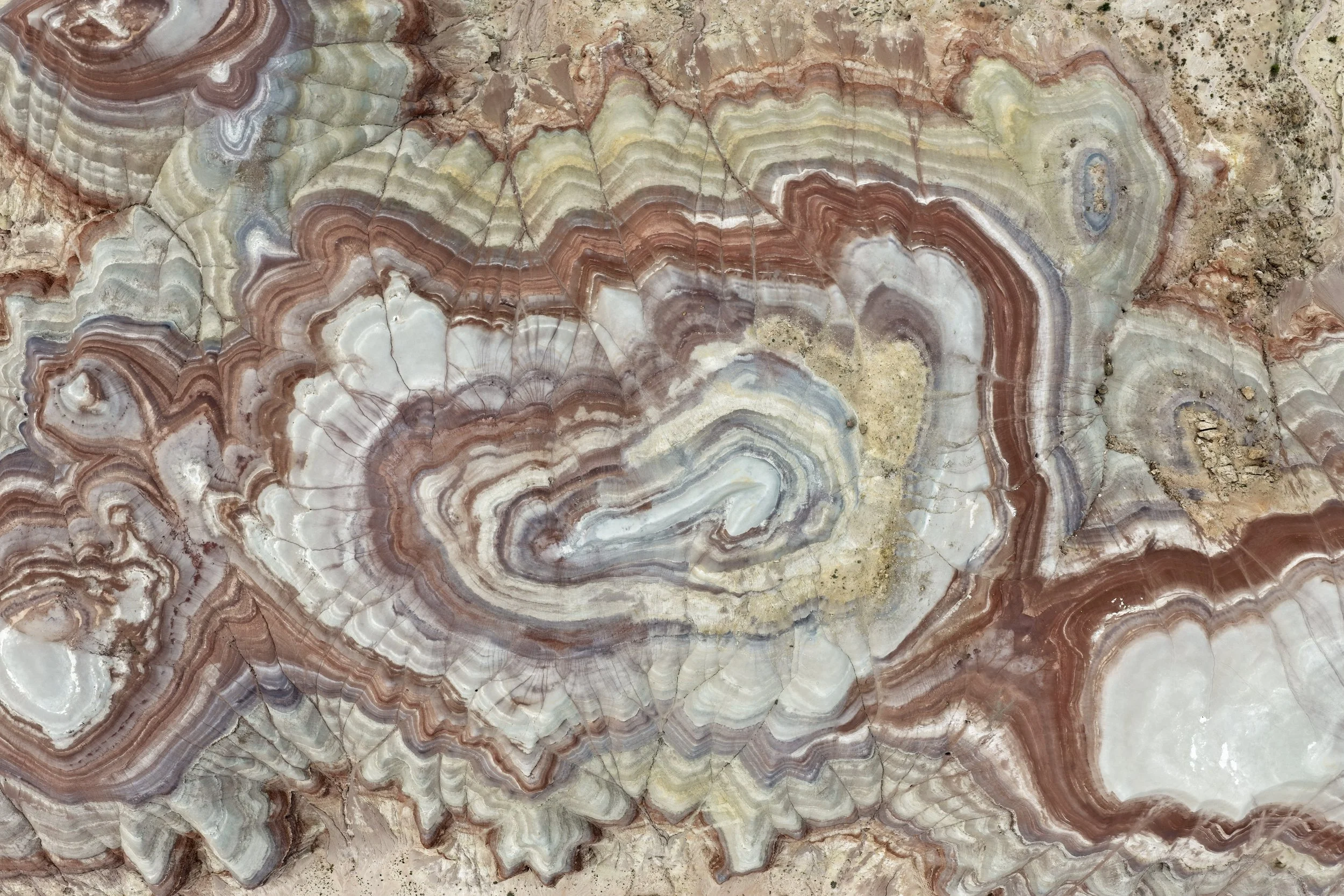 Bentonite Hills.jpg
