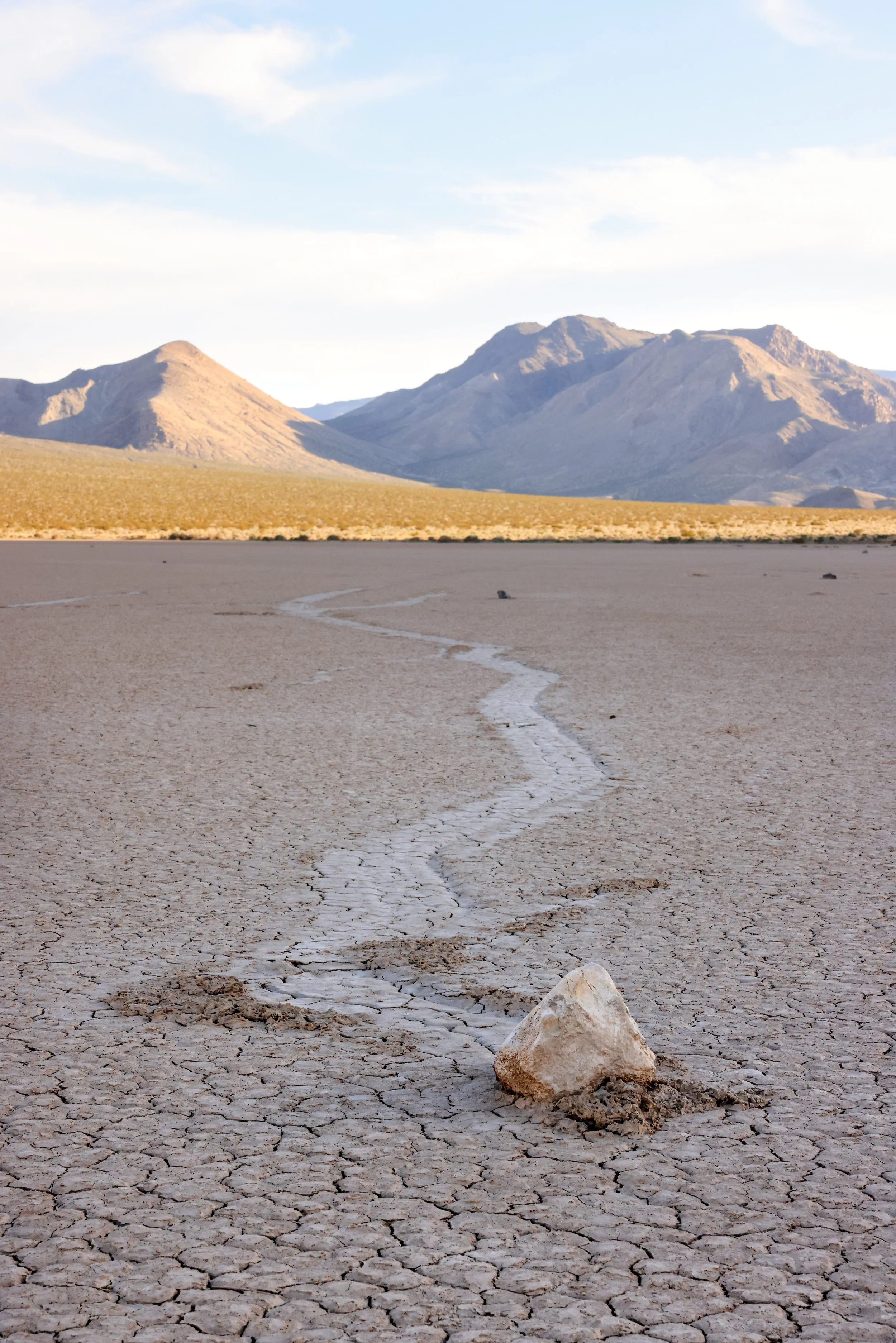 Racetrack Playa Portrait.jpg