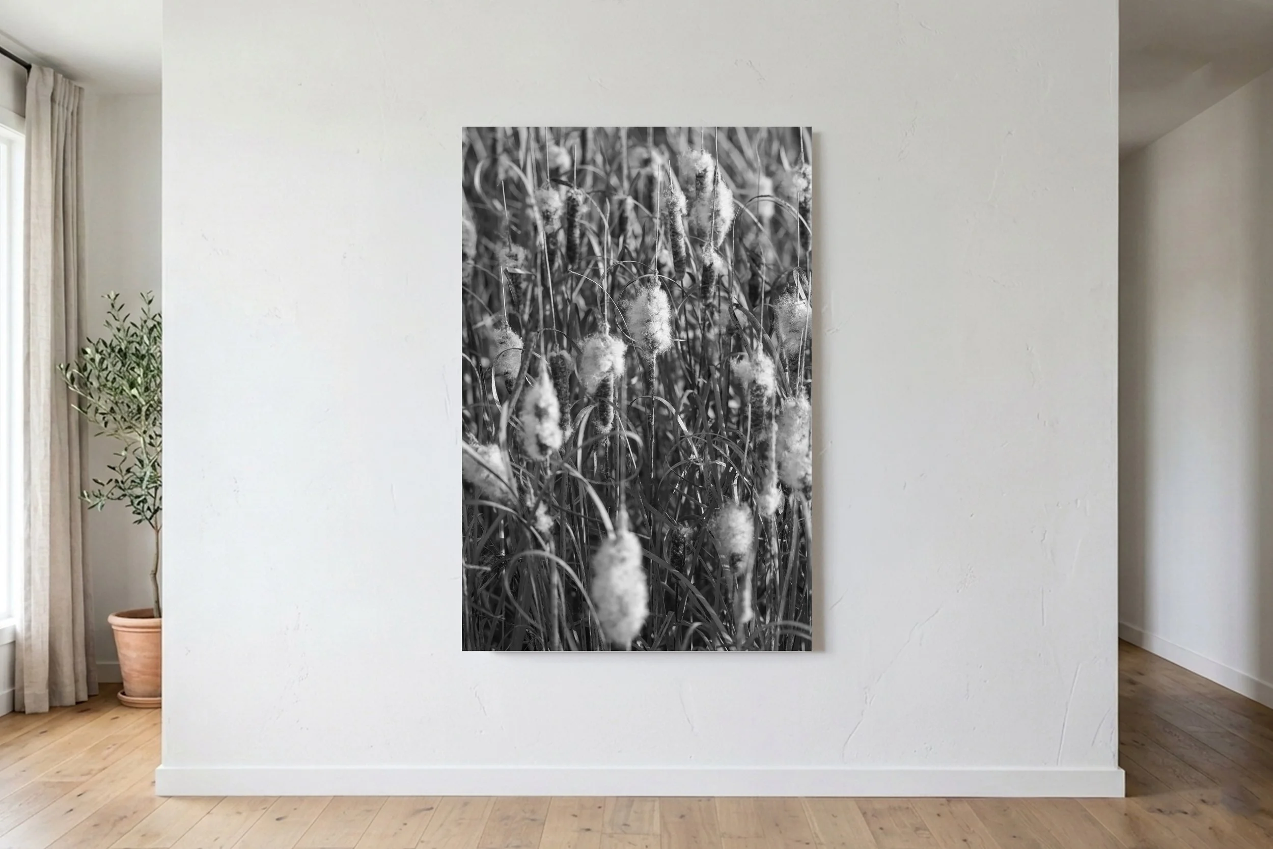 Broadleaf Cattail - B&W