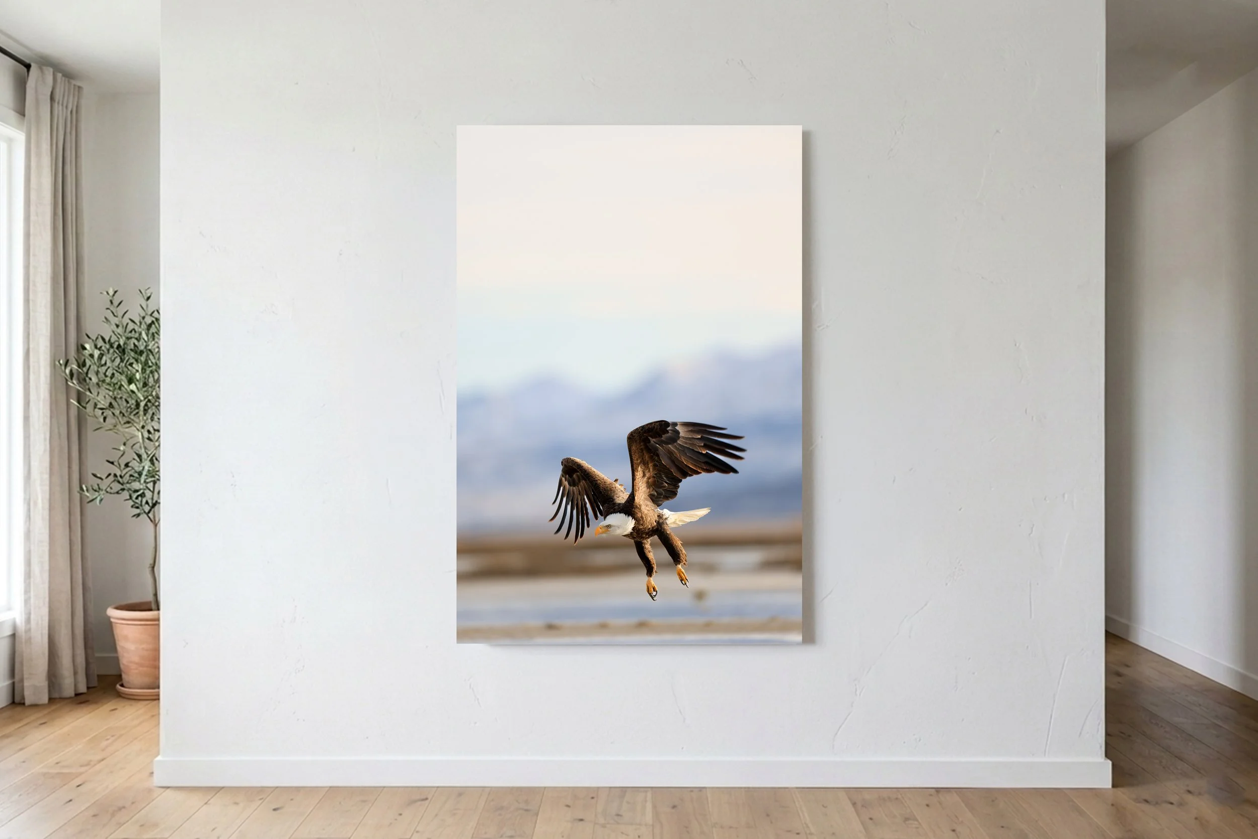 Eagle In Flight