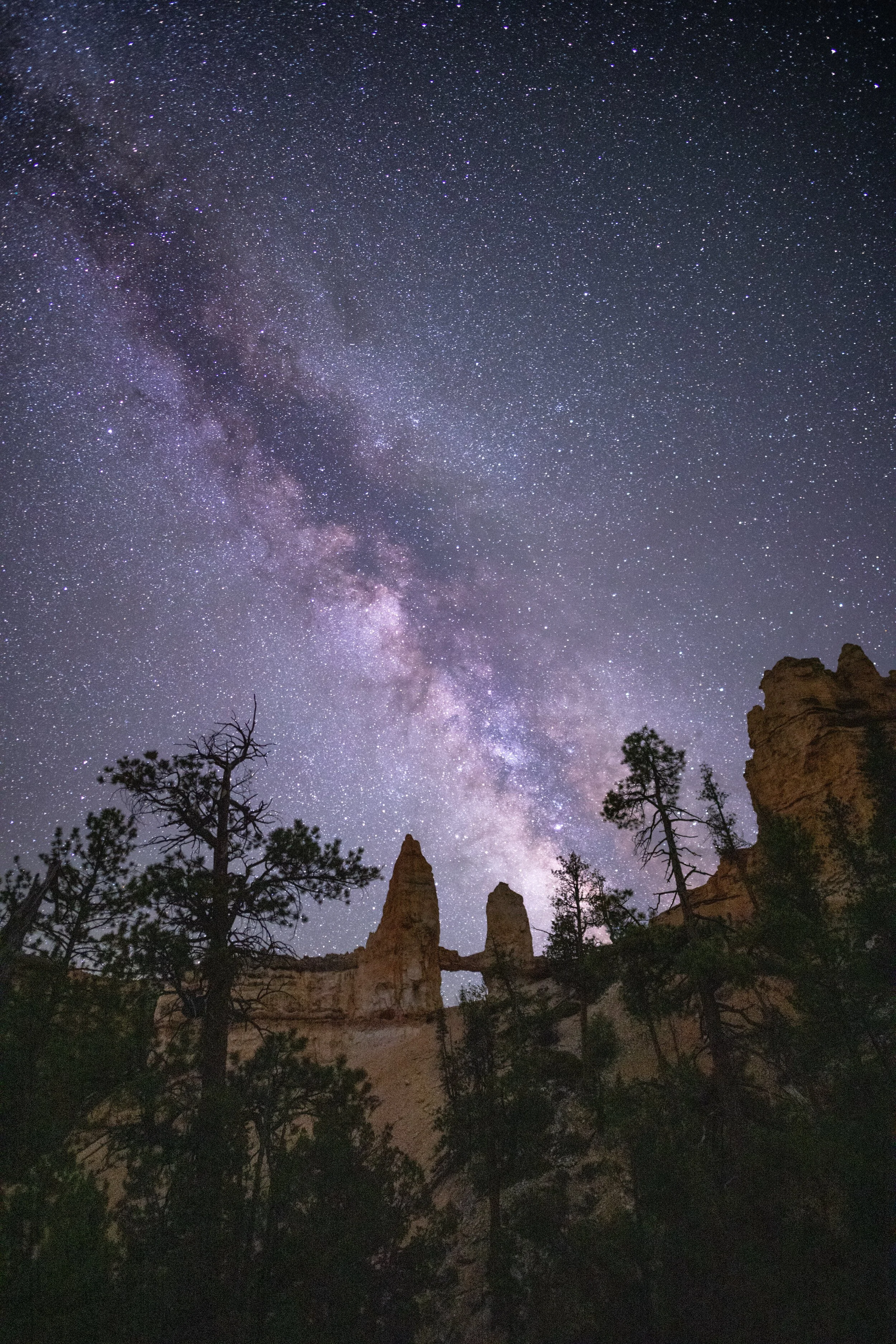 Towers Under The Stars.jpg