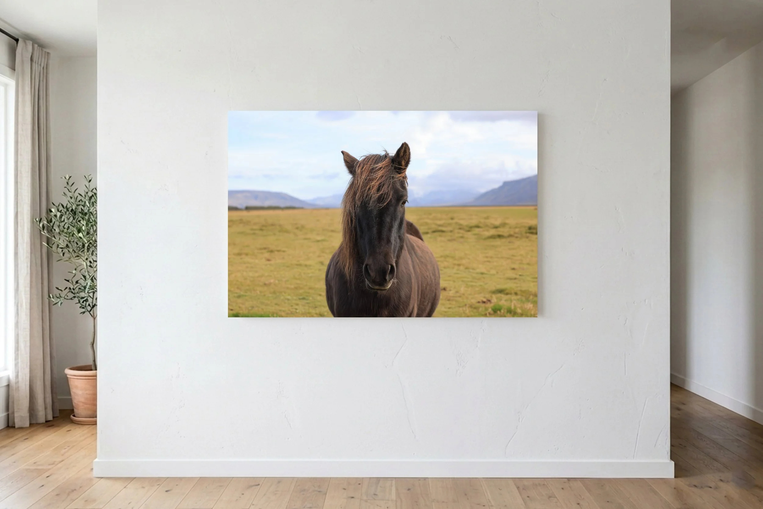 Icelandic Horse